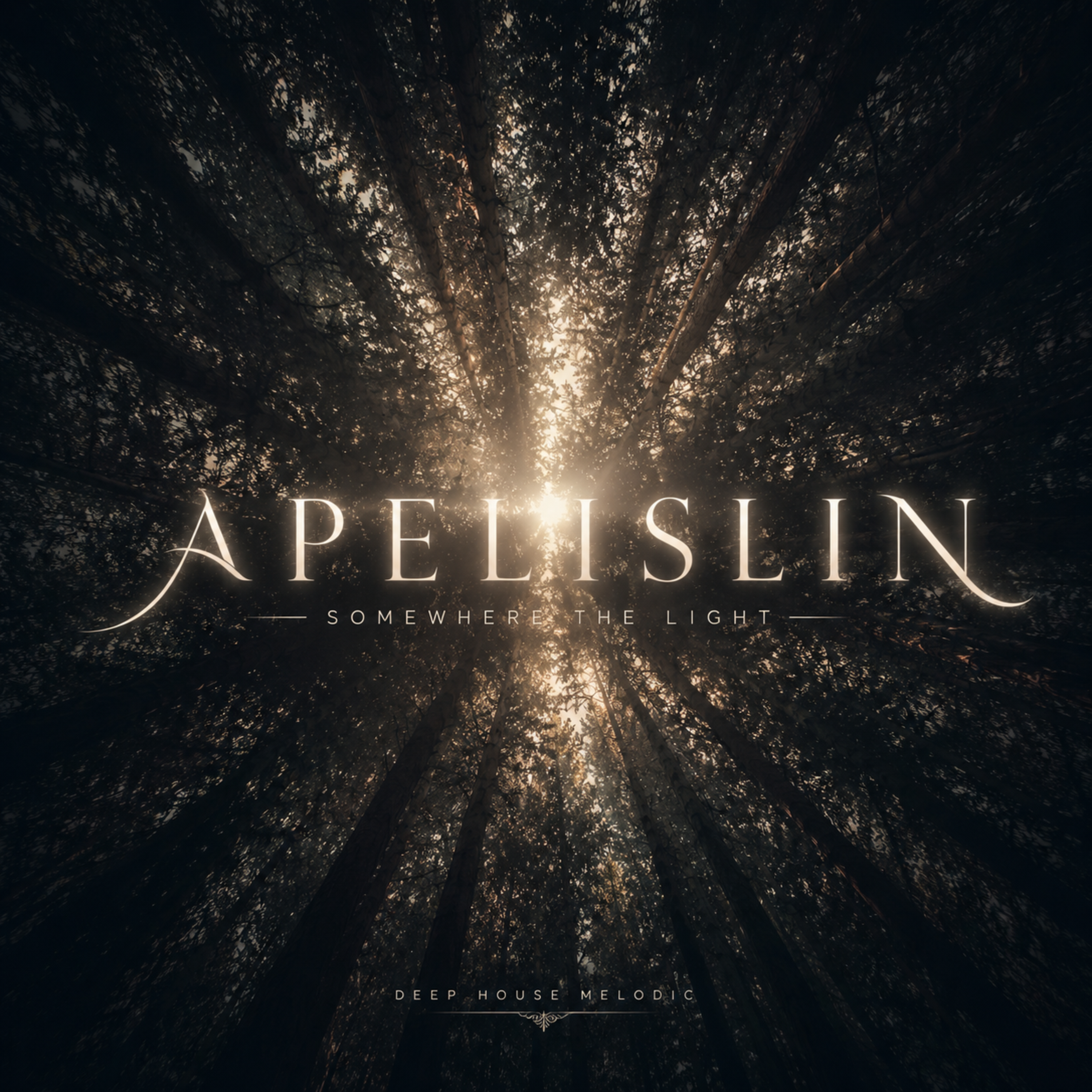 Somewhere the Light by Apelislin cover art