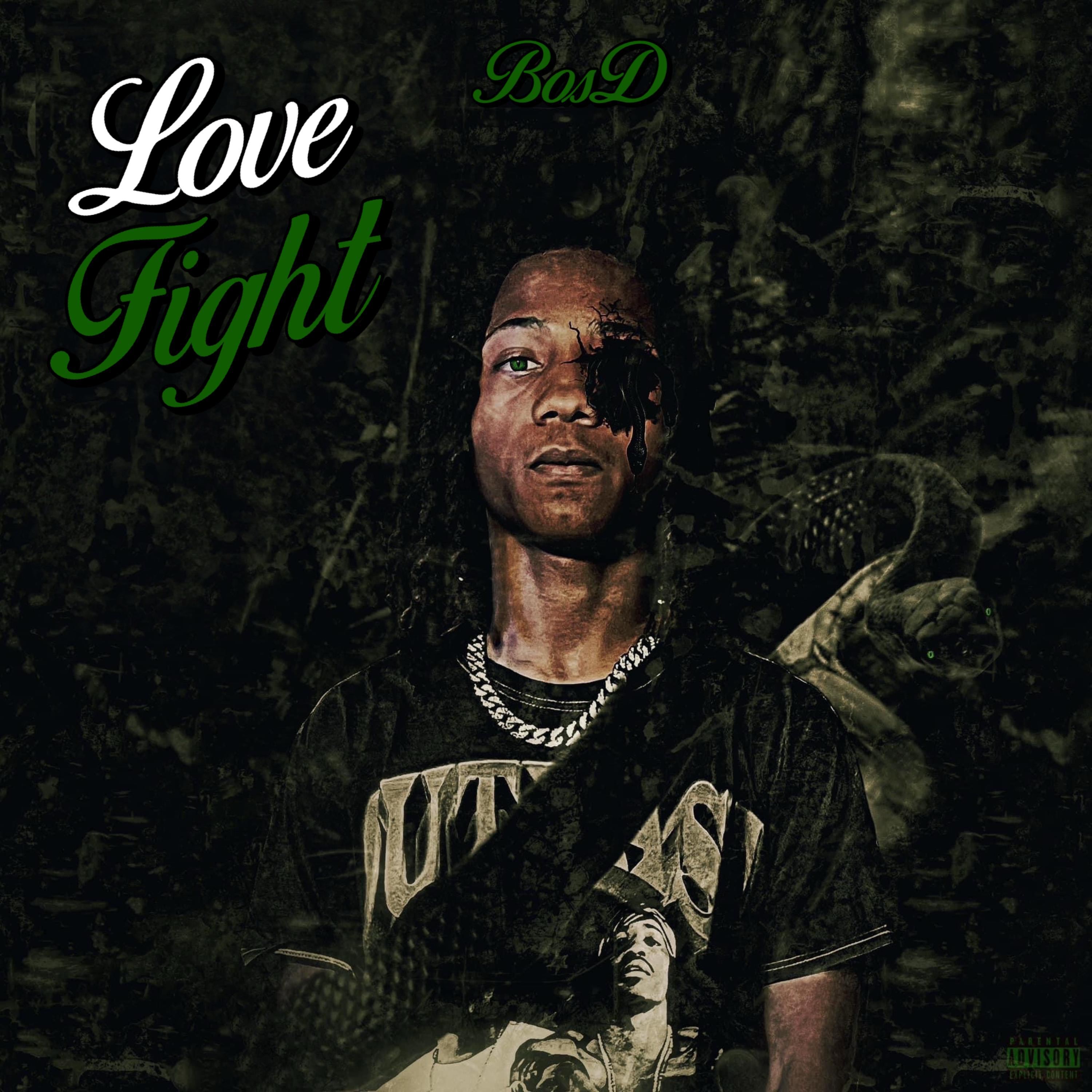 Love Fight artwork
