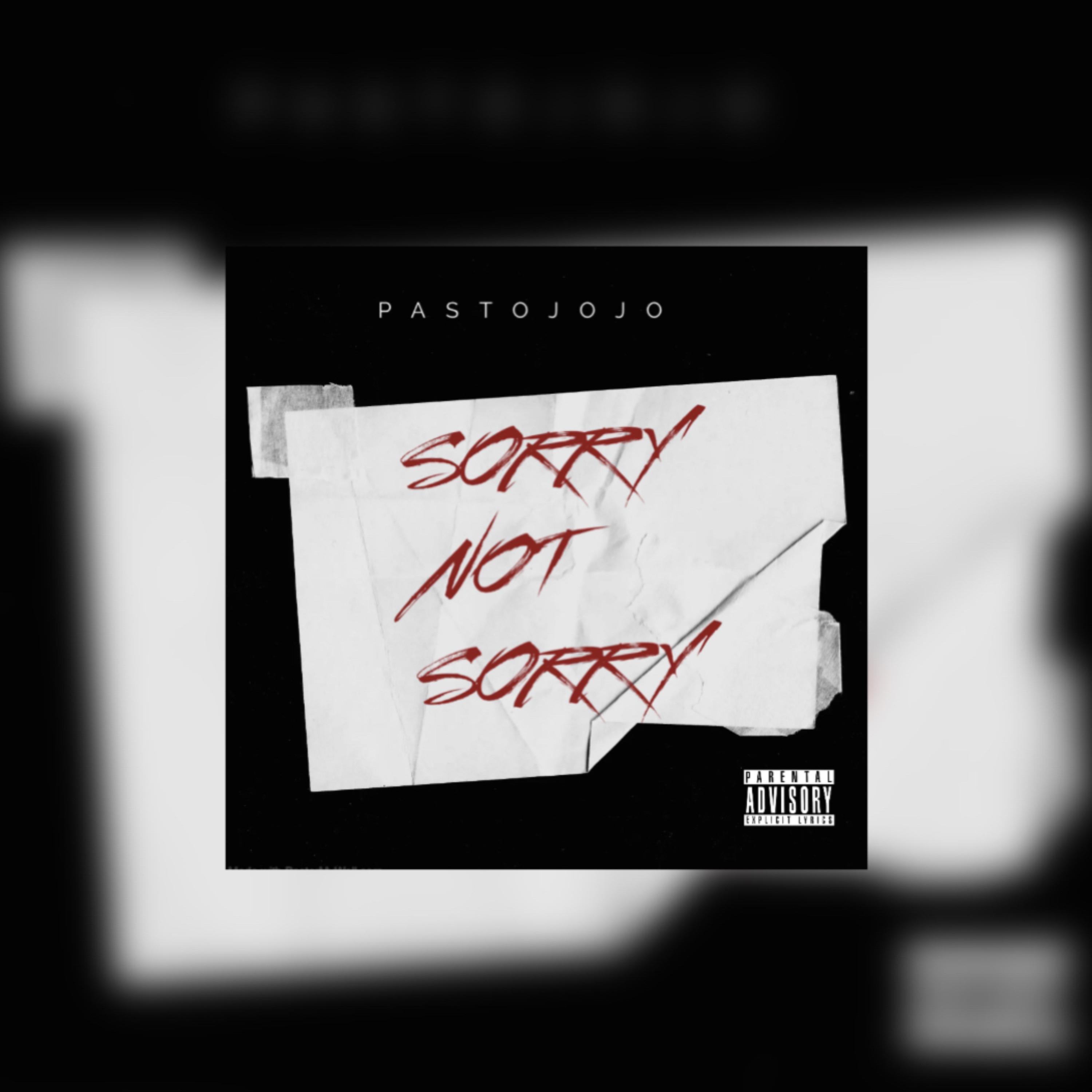 SORRY NOT SORRY artwork