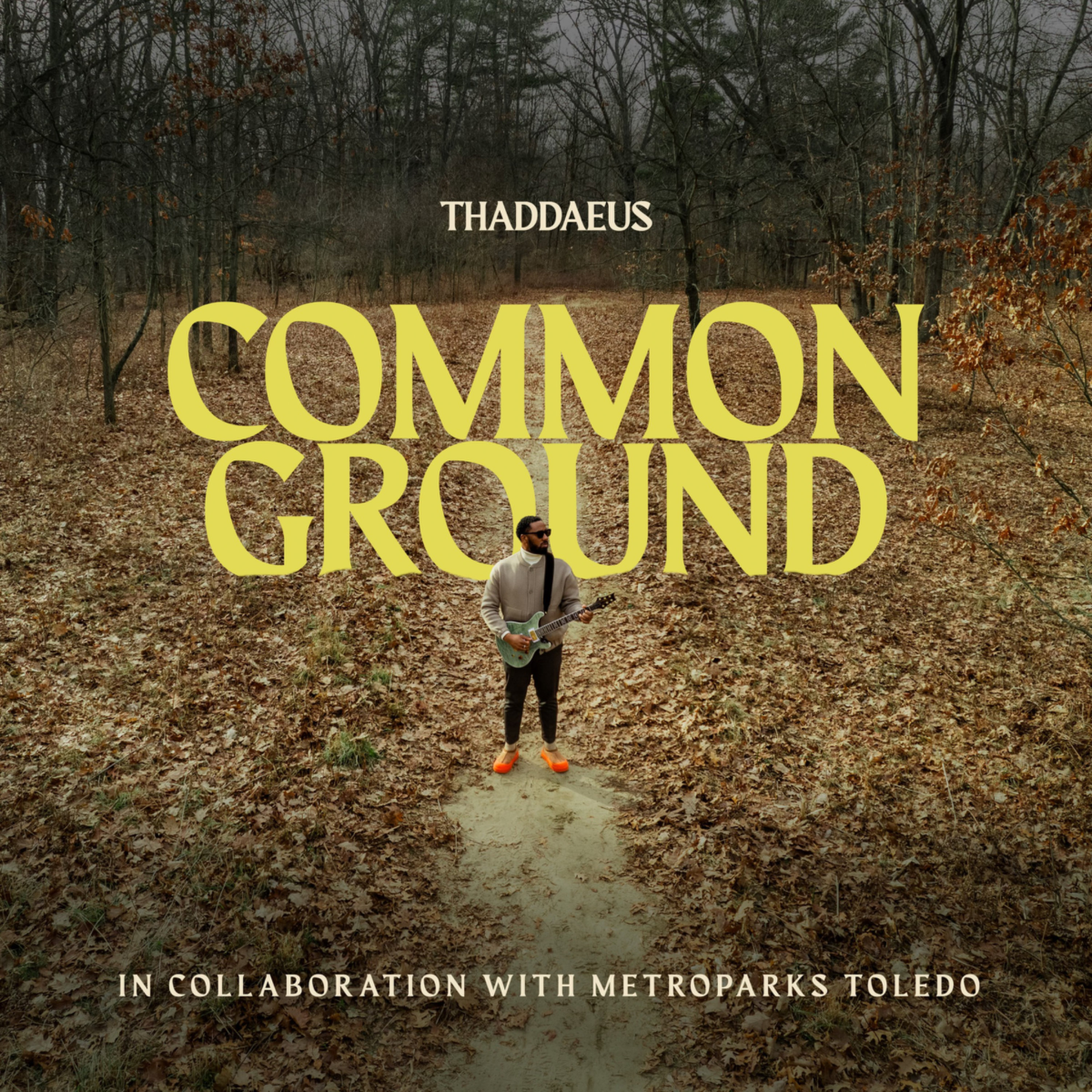 Common Ground artwork