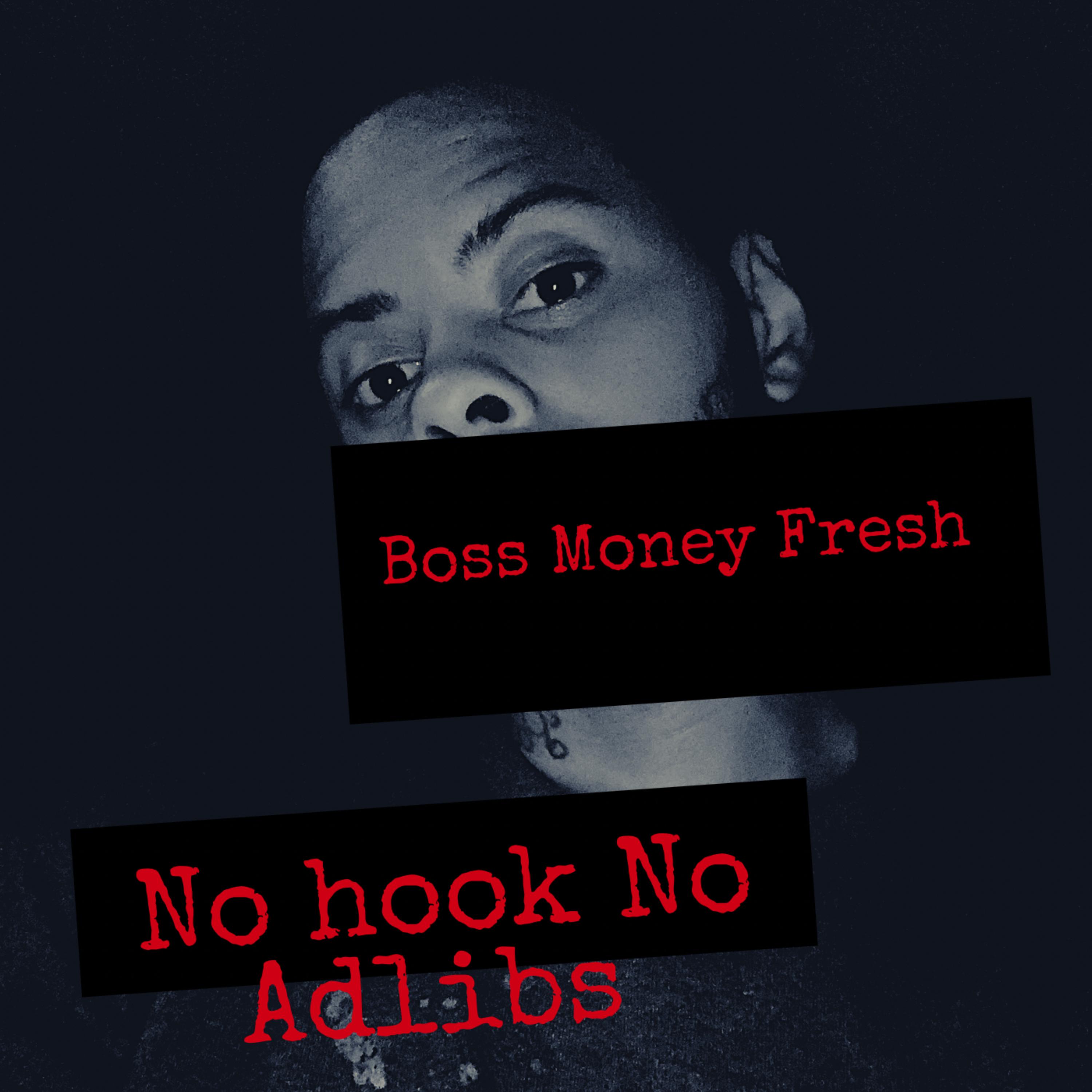 No hook No Adlibs artwork