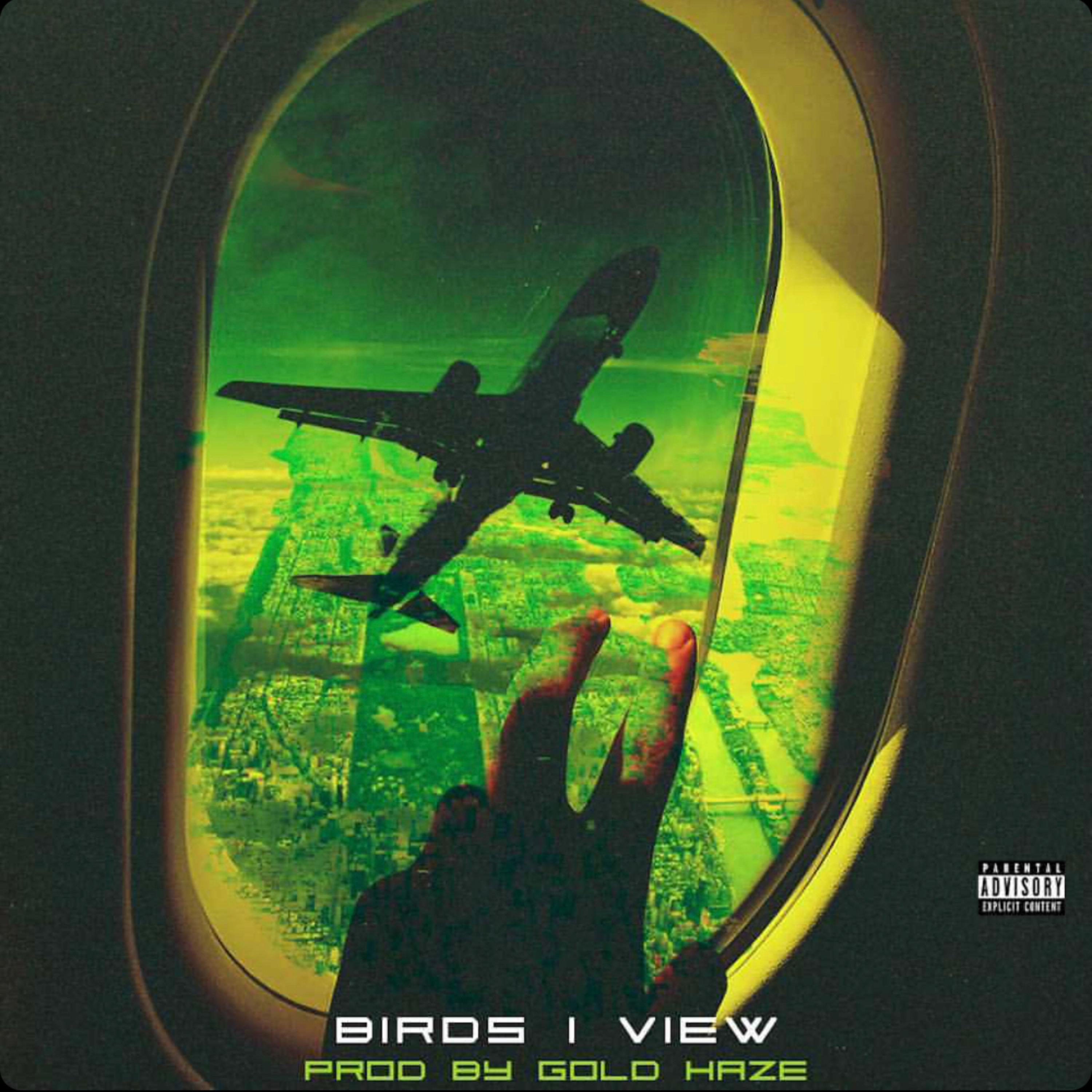 Birds I View artwork