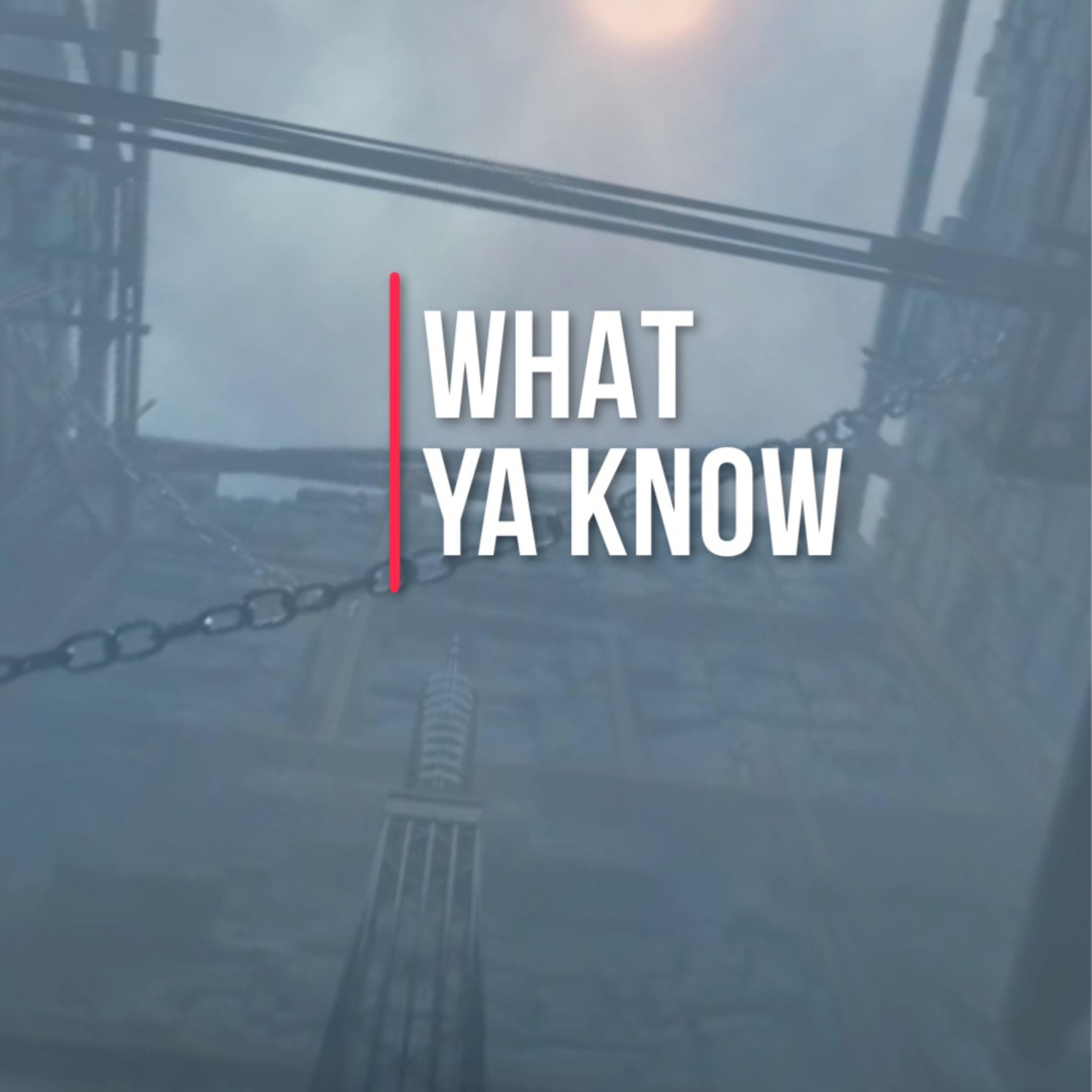 What Ya Know artwork