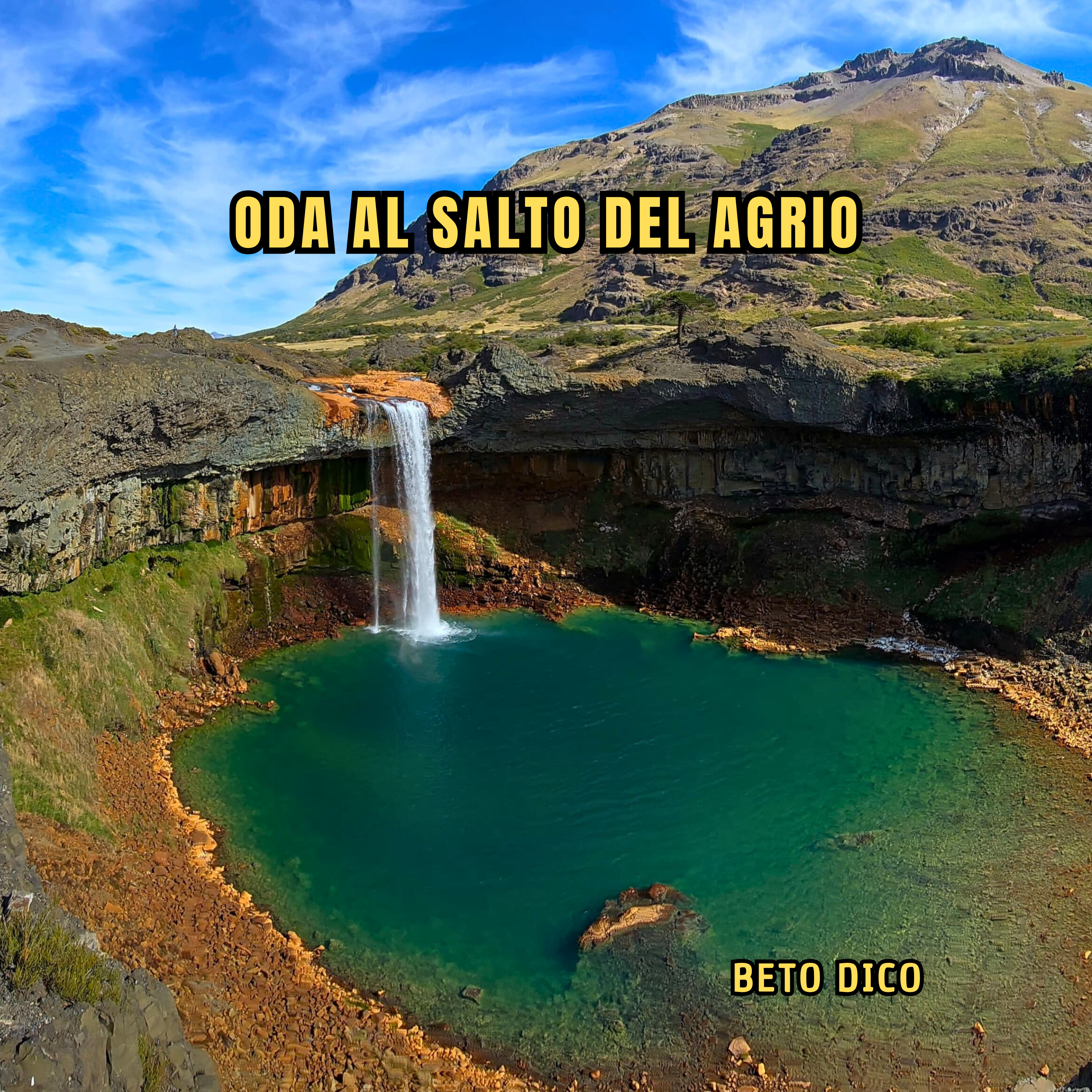 ODA AL SALTO DEL AGRIO artwork