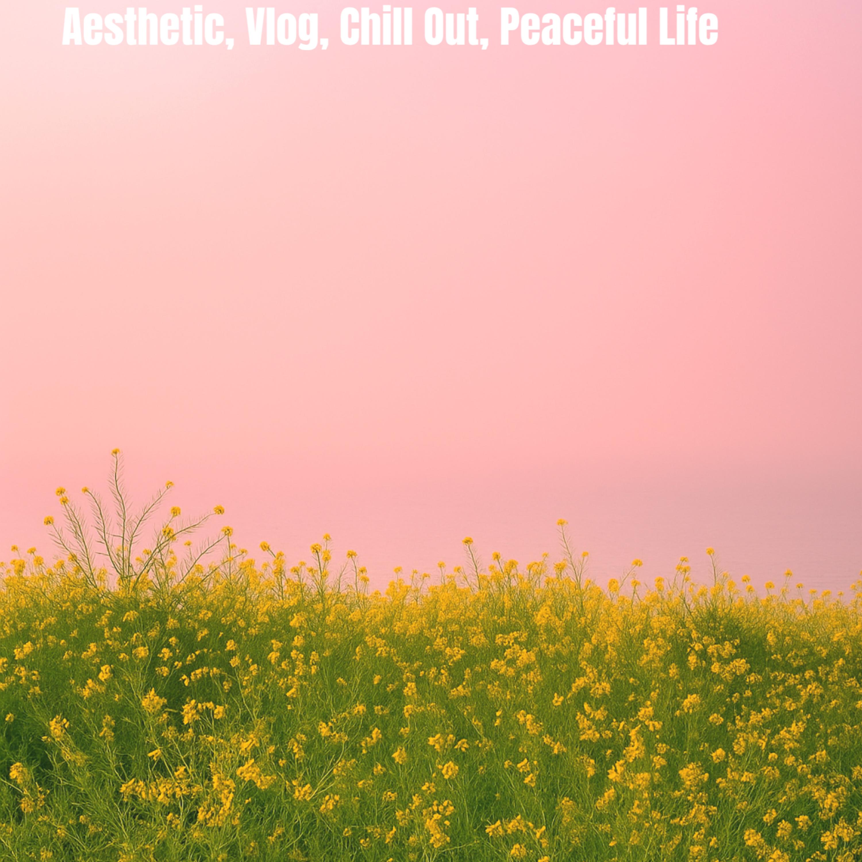 Aesthetic, Vlog, Chill Out, Peaceful Life artwork