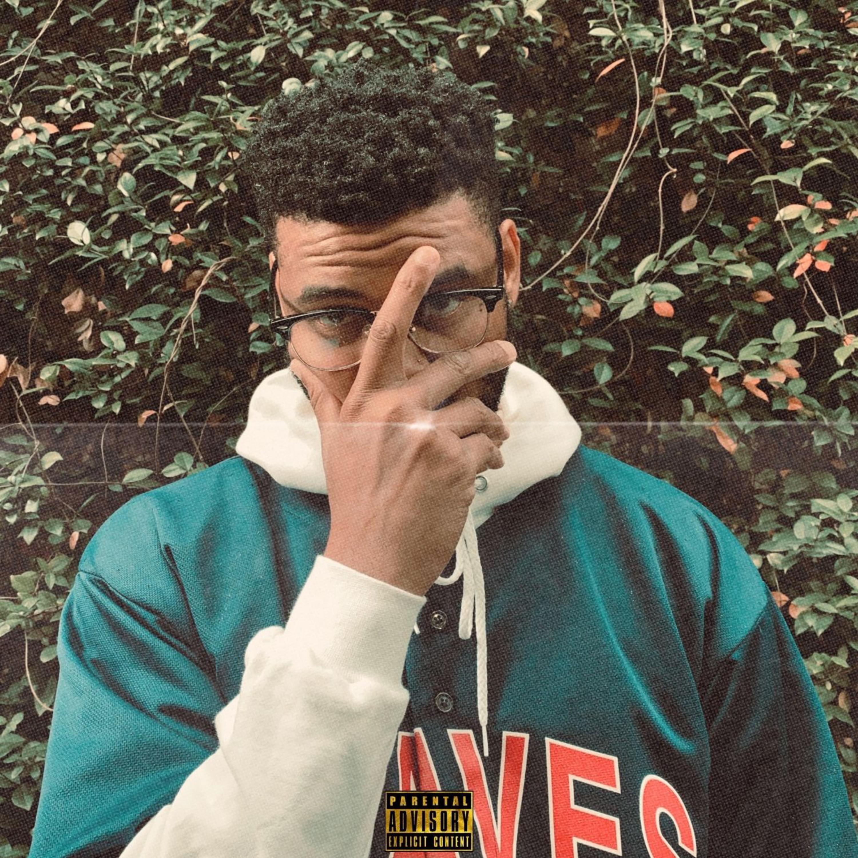 MID-LIFE CRISIS artwork