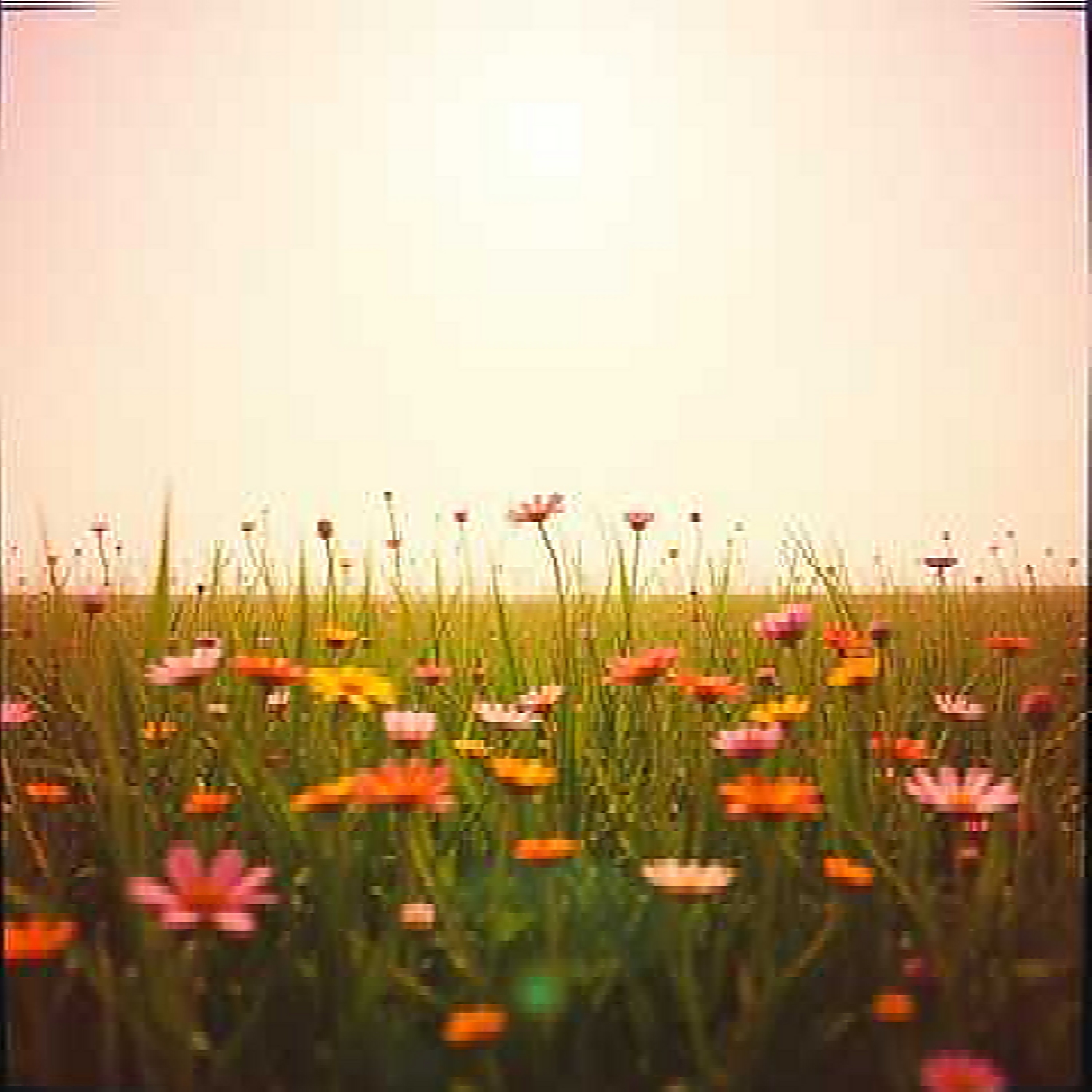 Due Me In The Gay Butt artwork