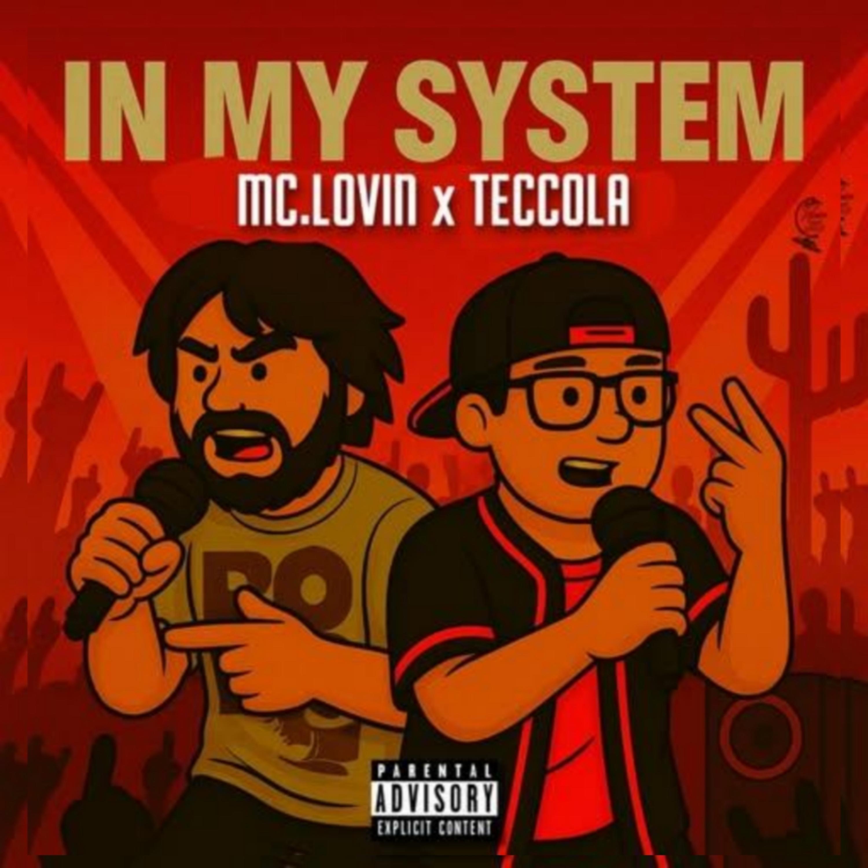 IN MY SYSTEM artwork
