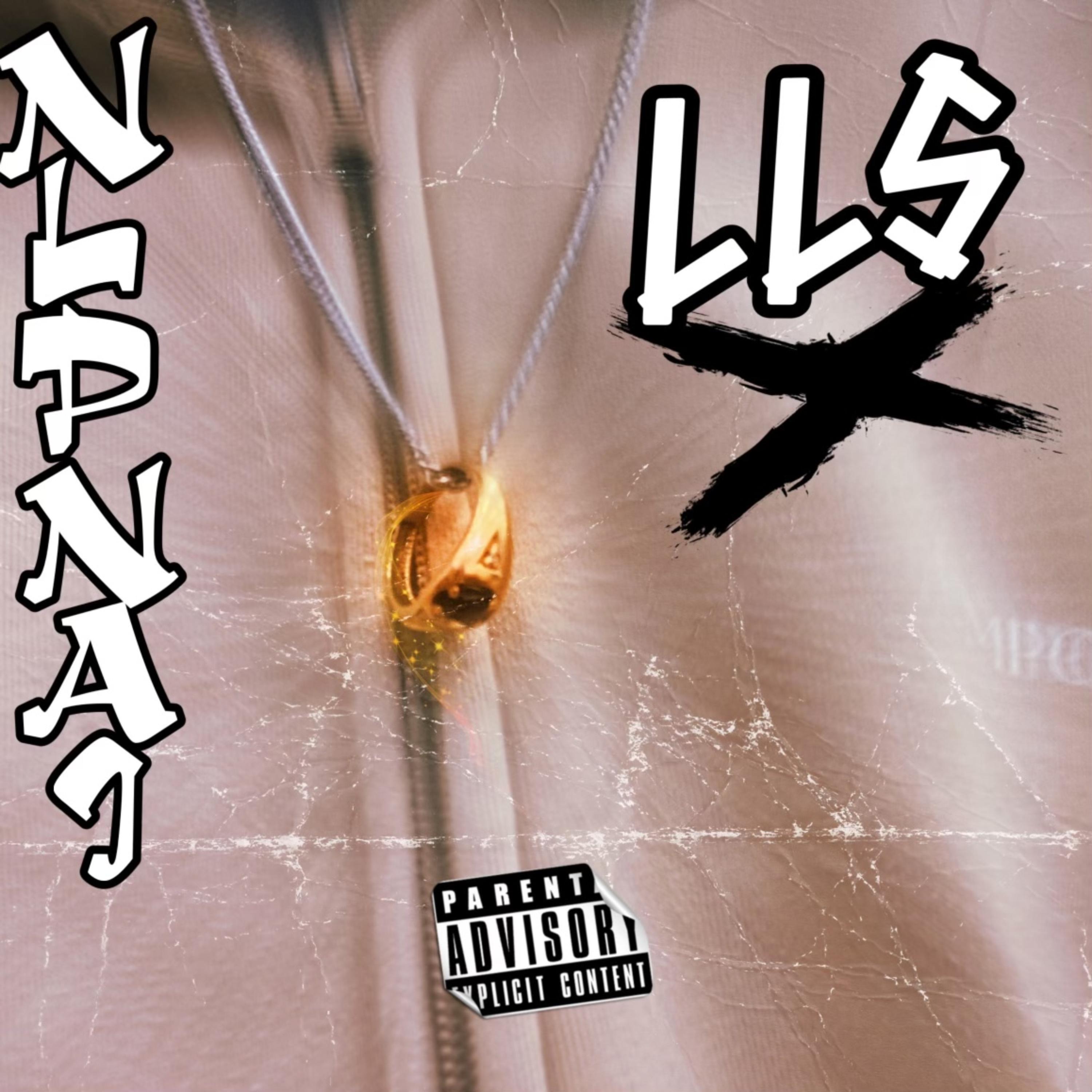 L.L.S artwork