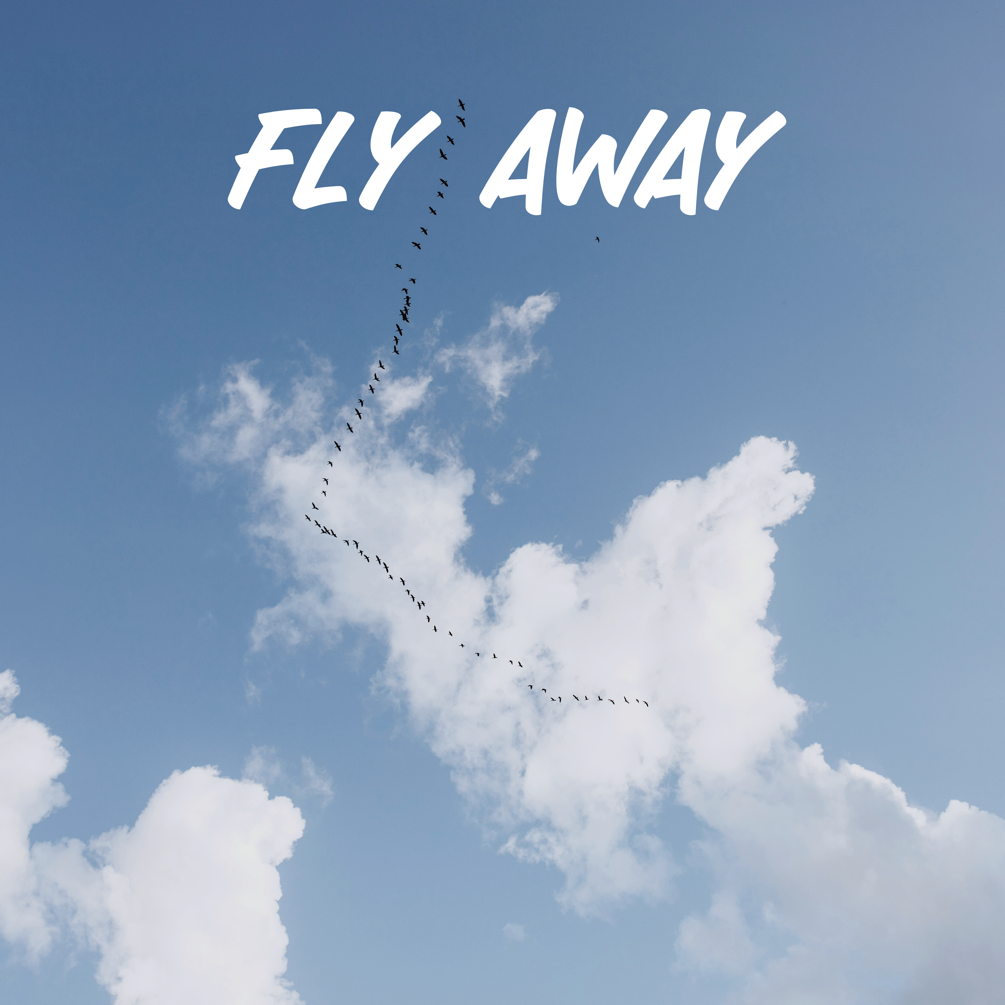 Fly Away artwork
