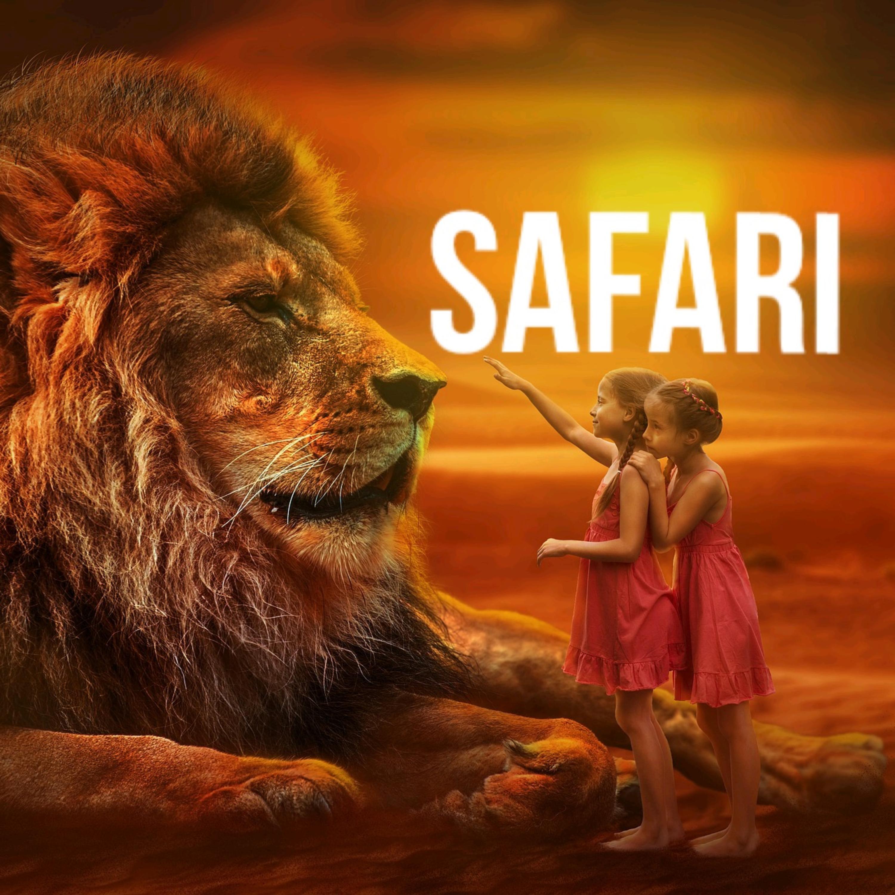 SAFARI artwork