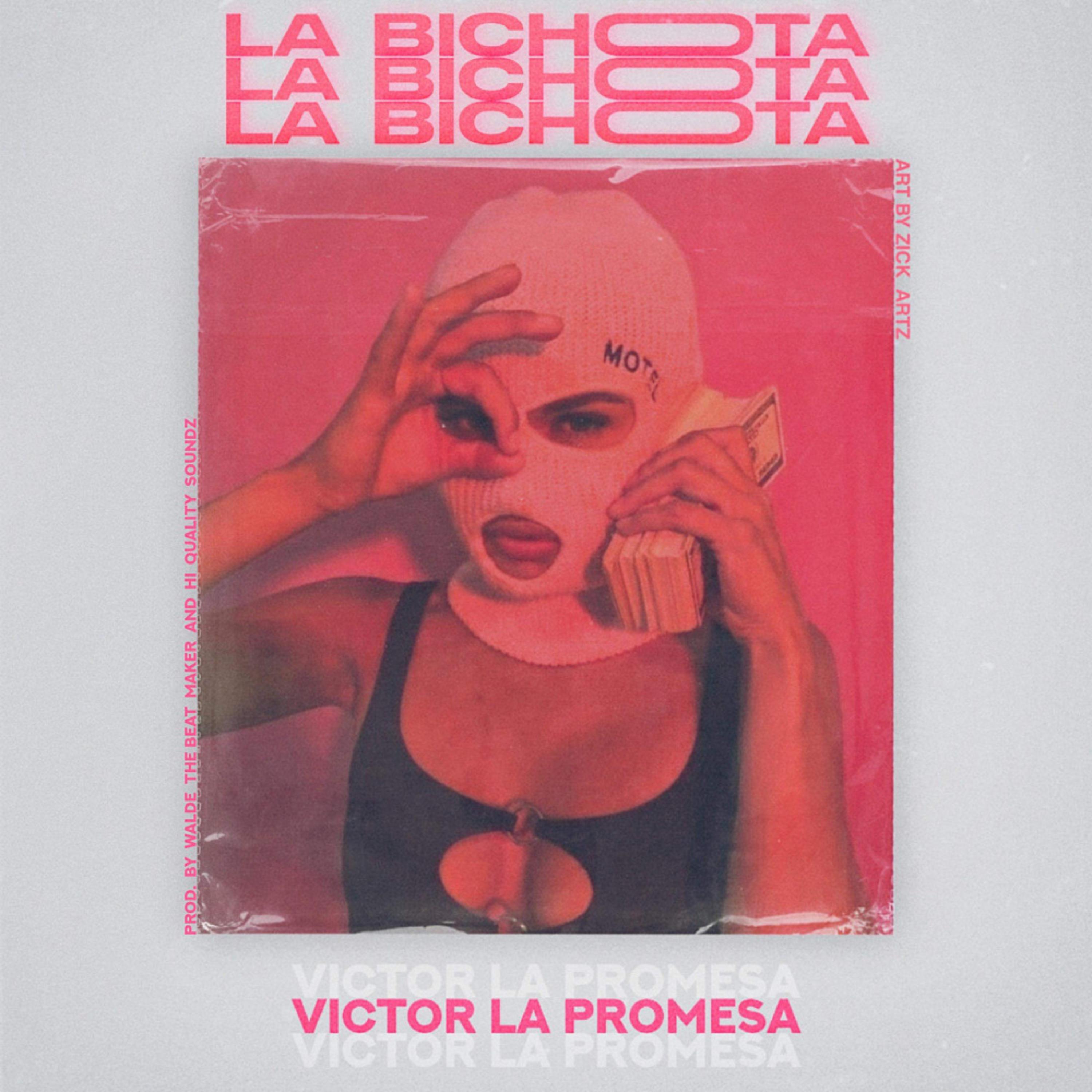 La bichota artwork
