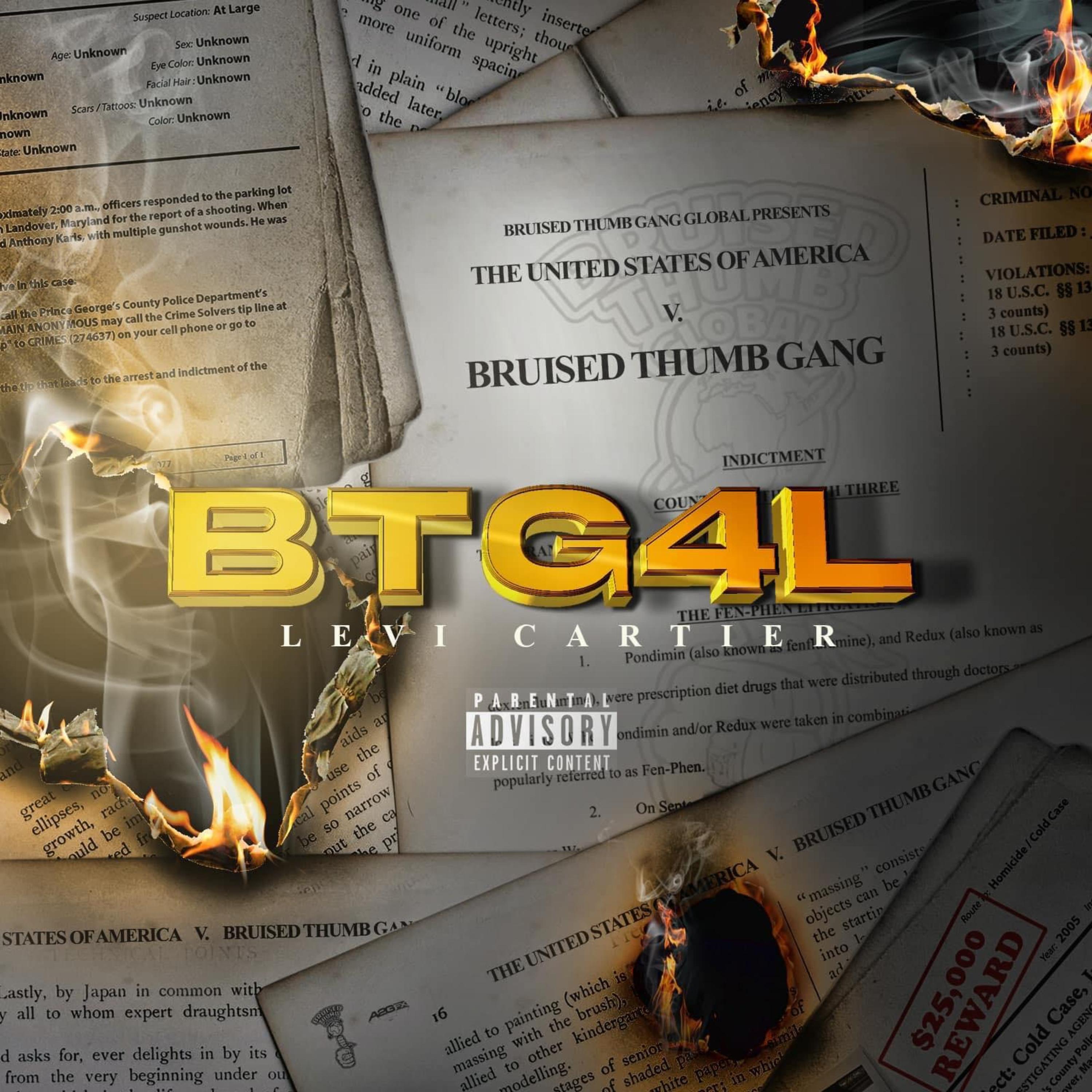 BTG4L artwork