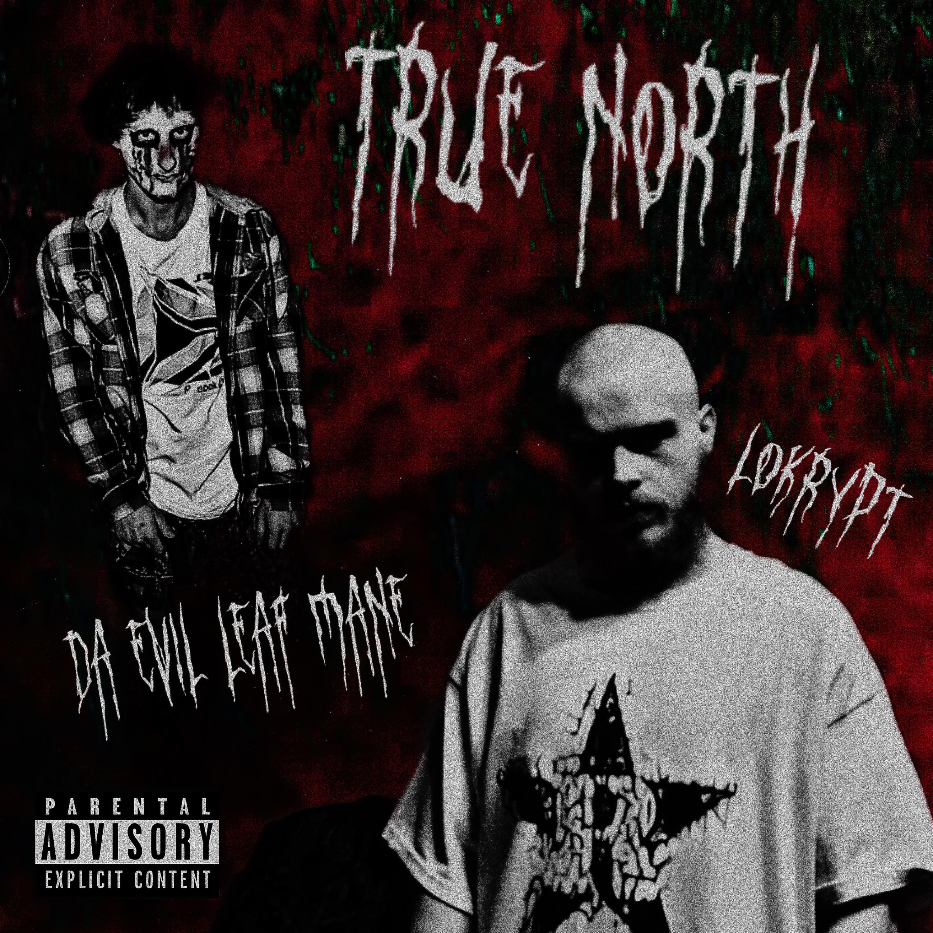 TRUE NORTH artwork
