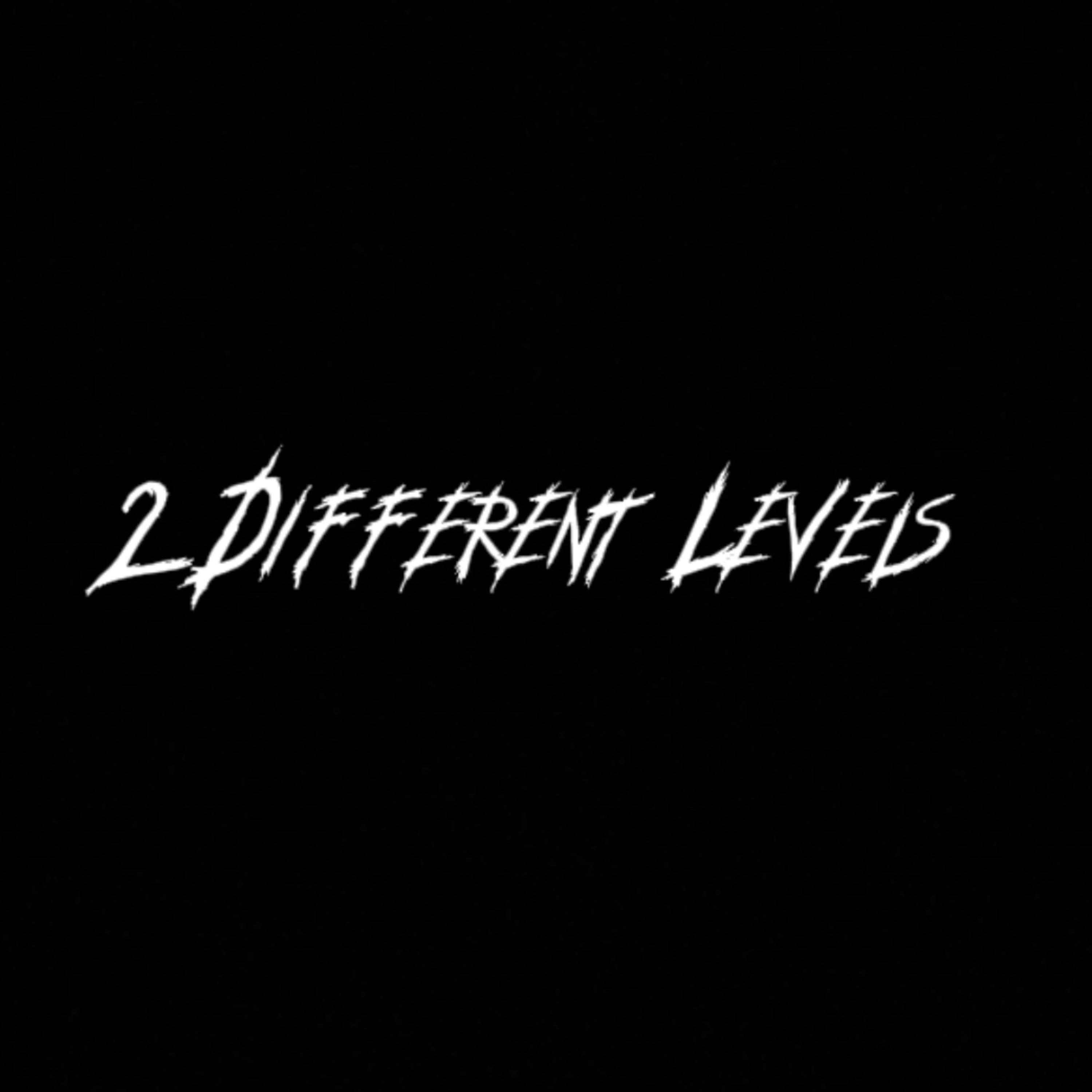 2 Different Levels artwork