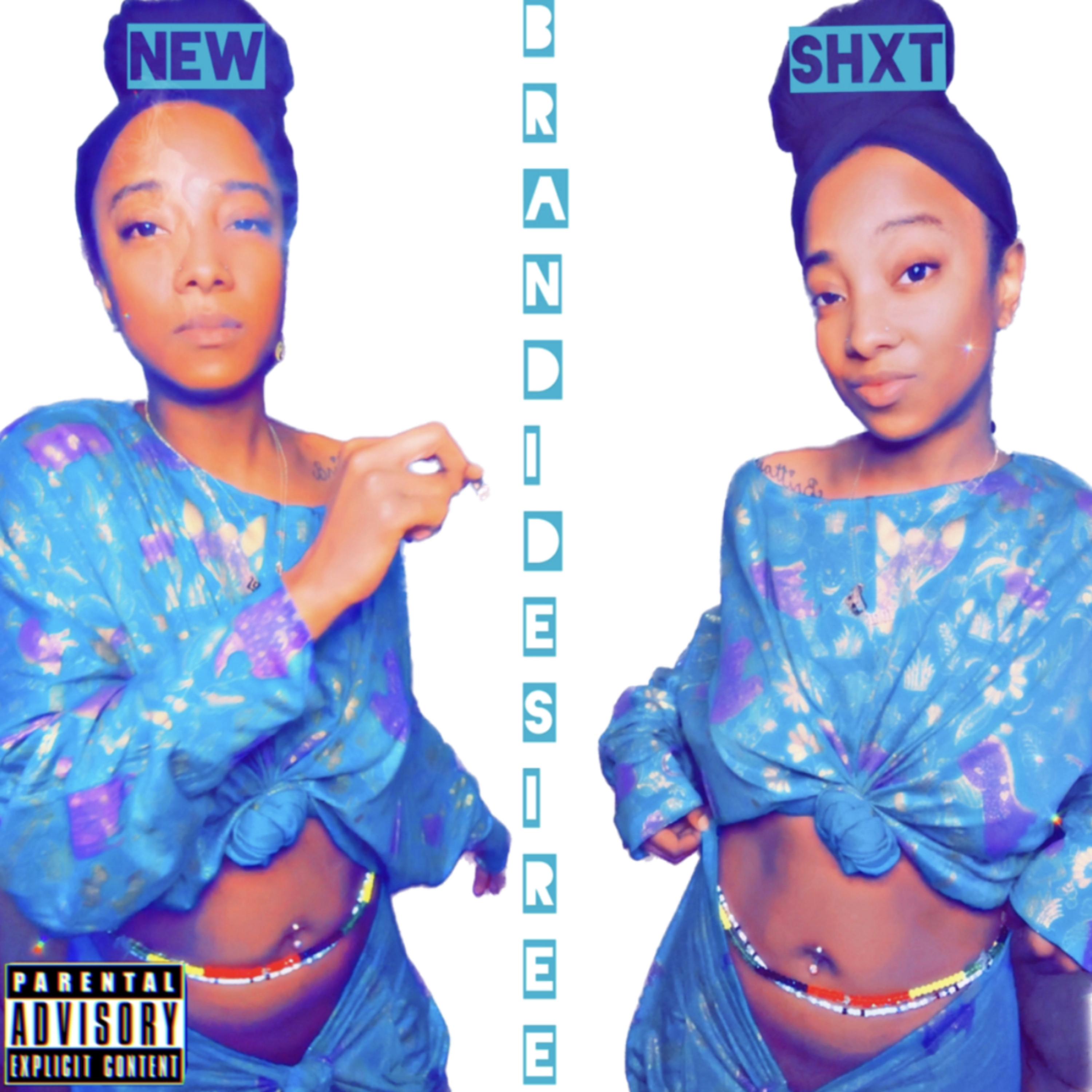 New Shxt artwork