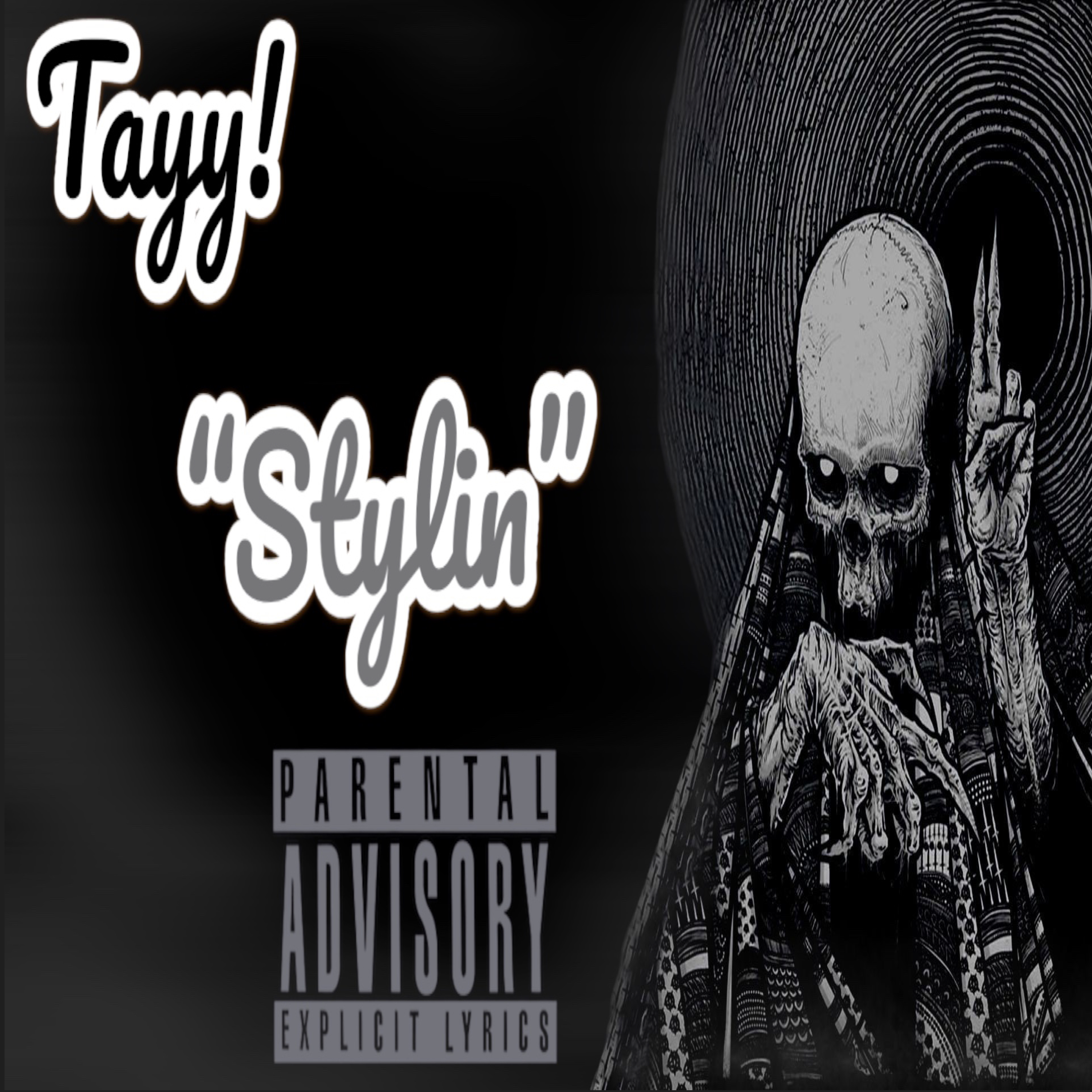 Stylin artwork