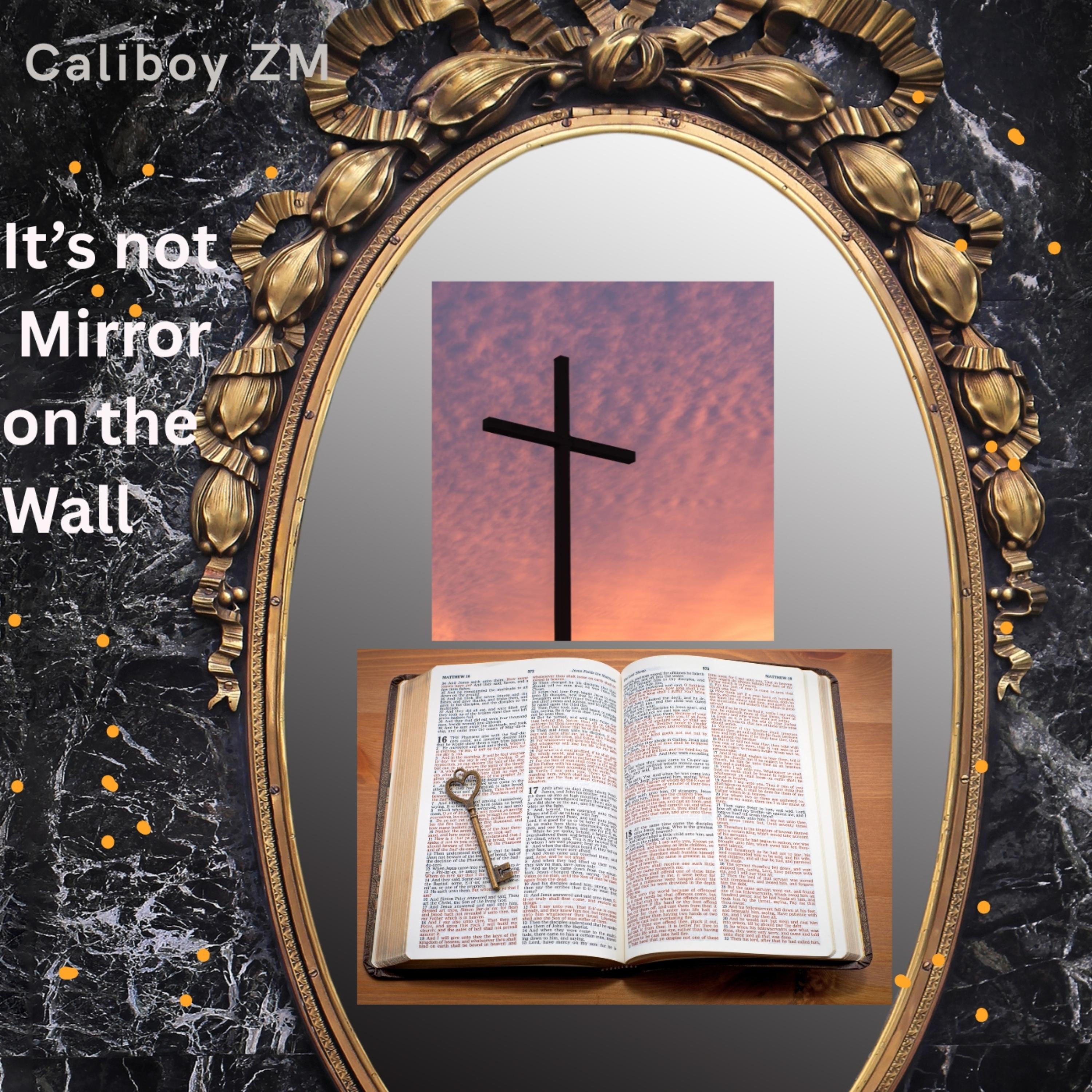 Mirror mirror on the wall by Caliboy ZM cover art