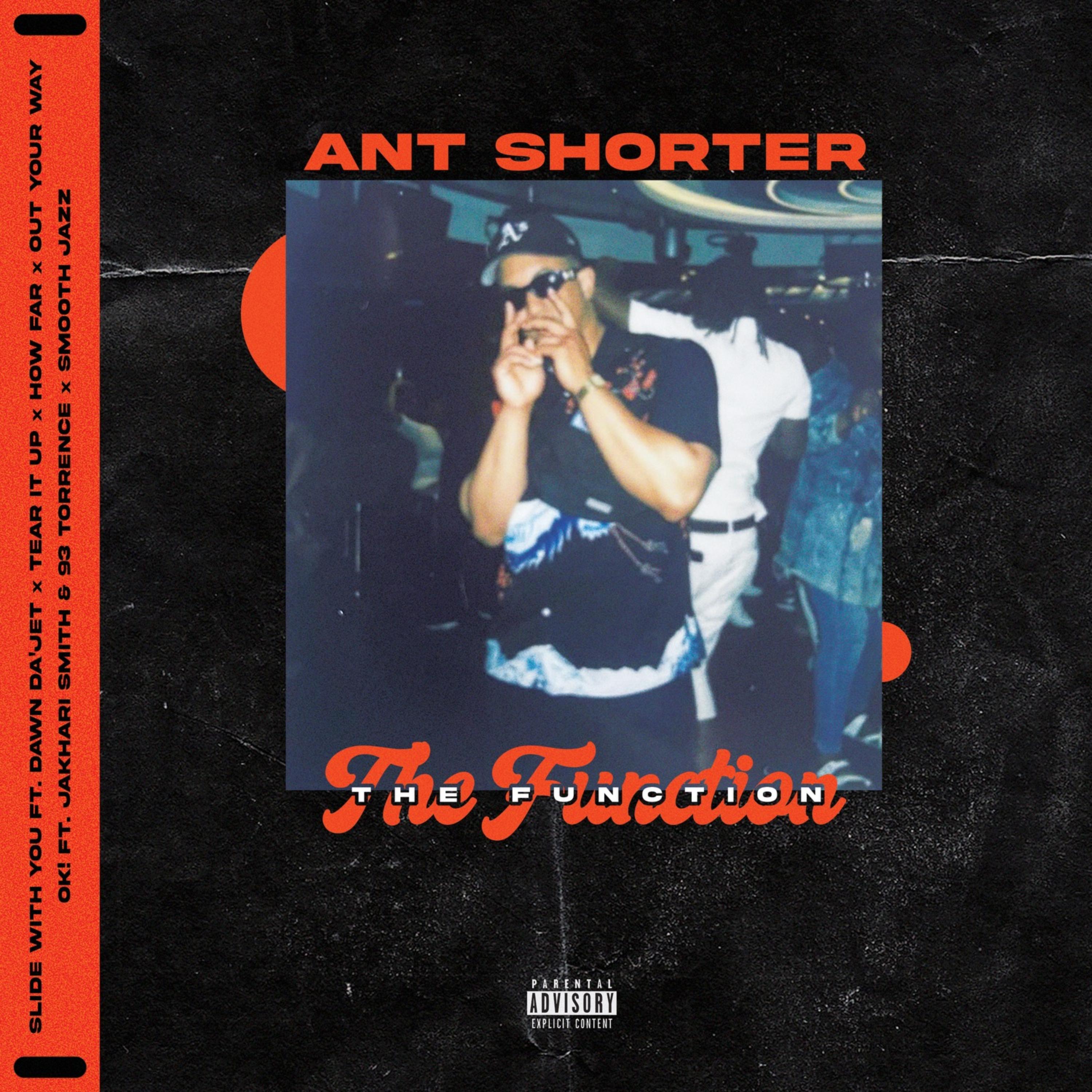 The Function artwork