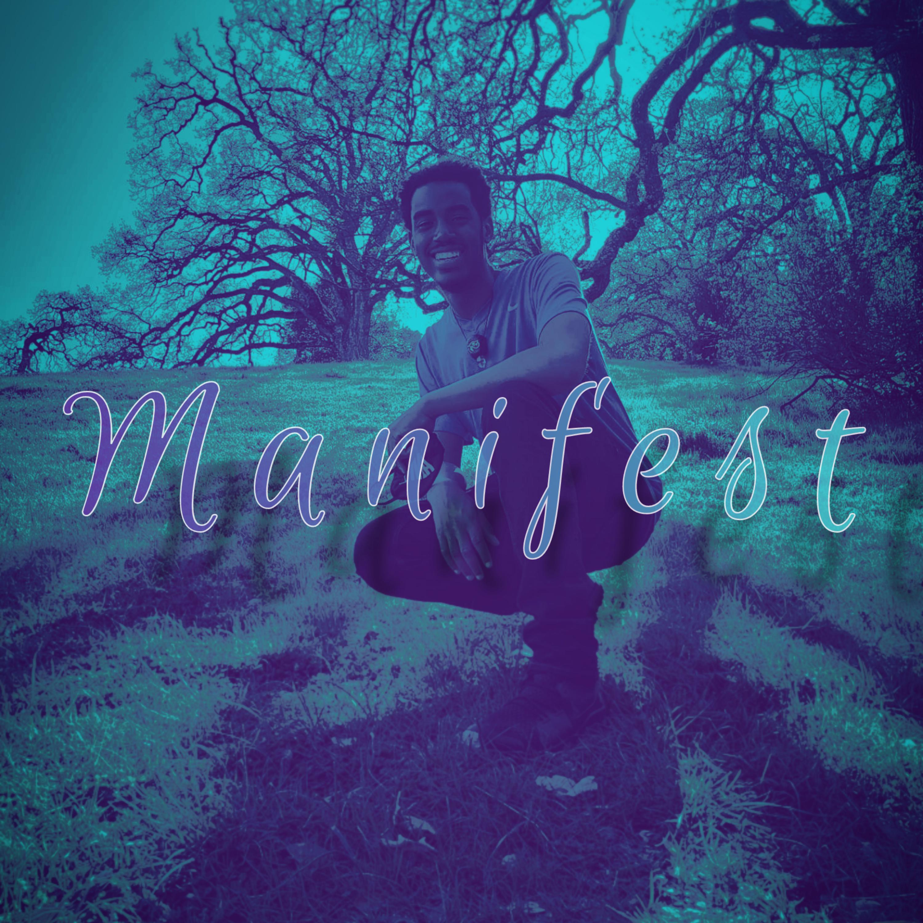 Manifest artwork