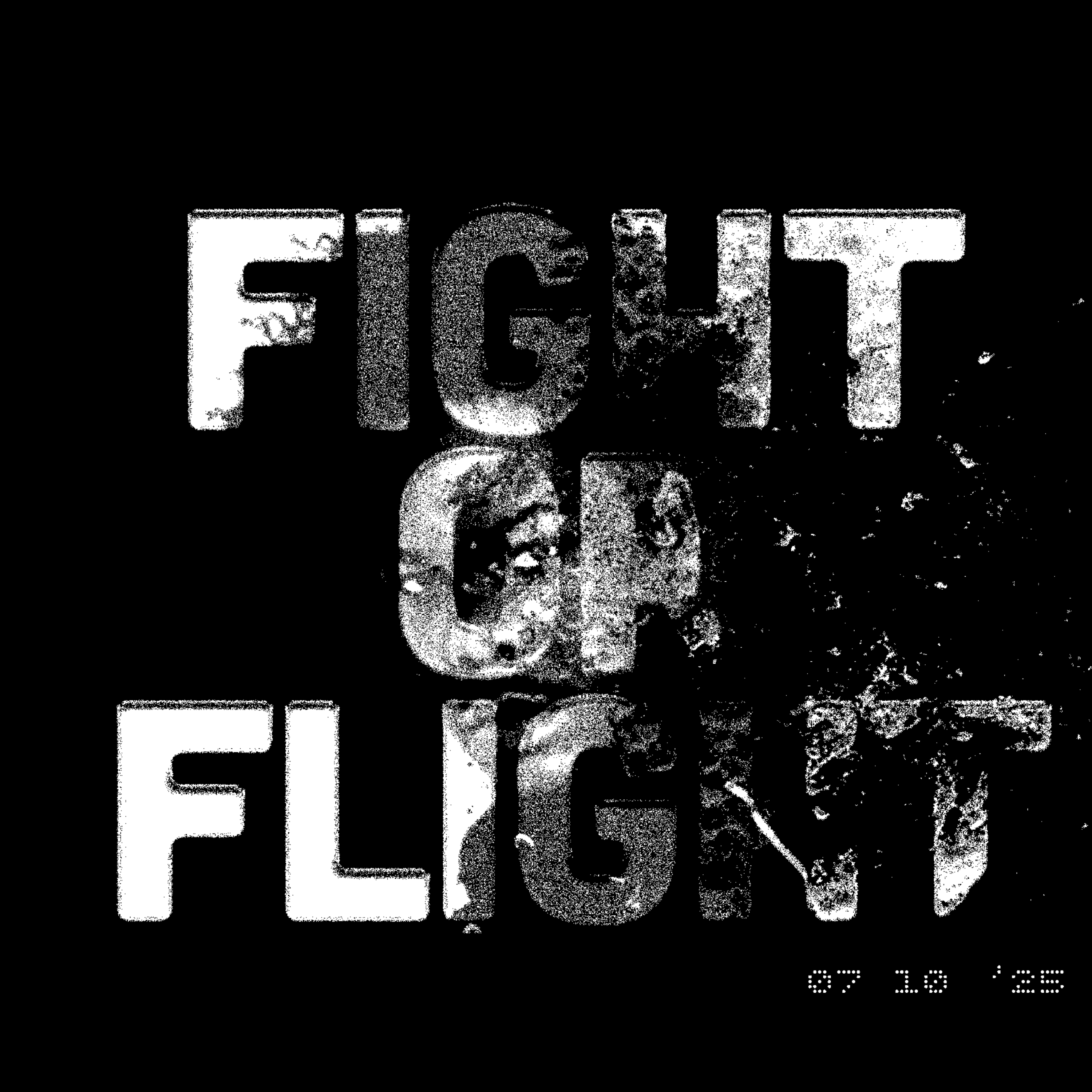 Fight Or Flight artwork