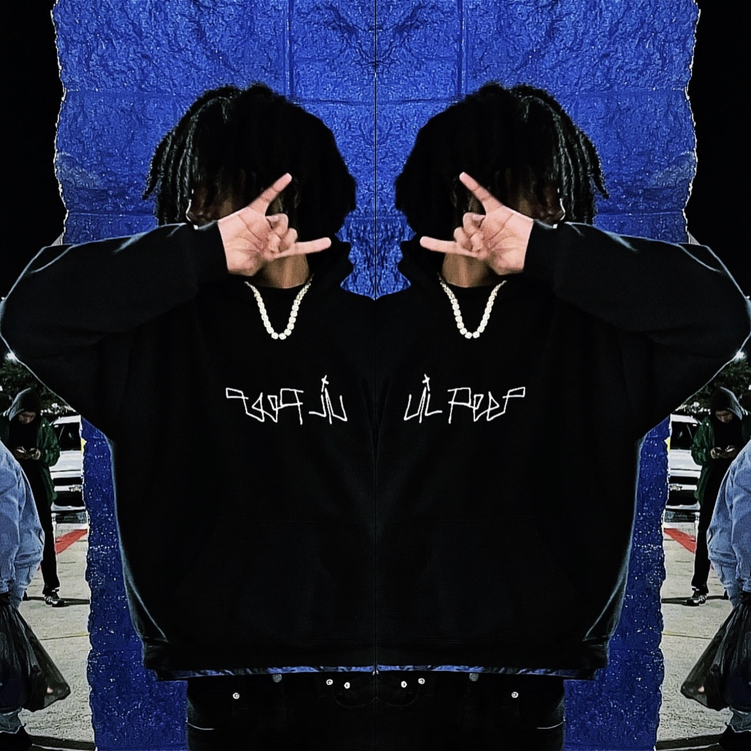 I was faking and you shoulda known artwork