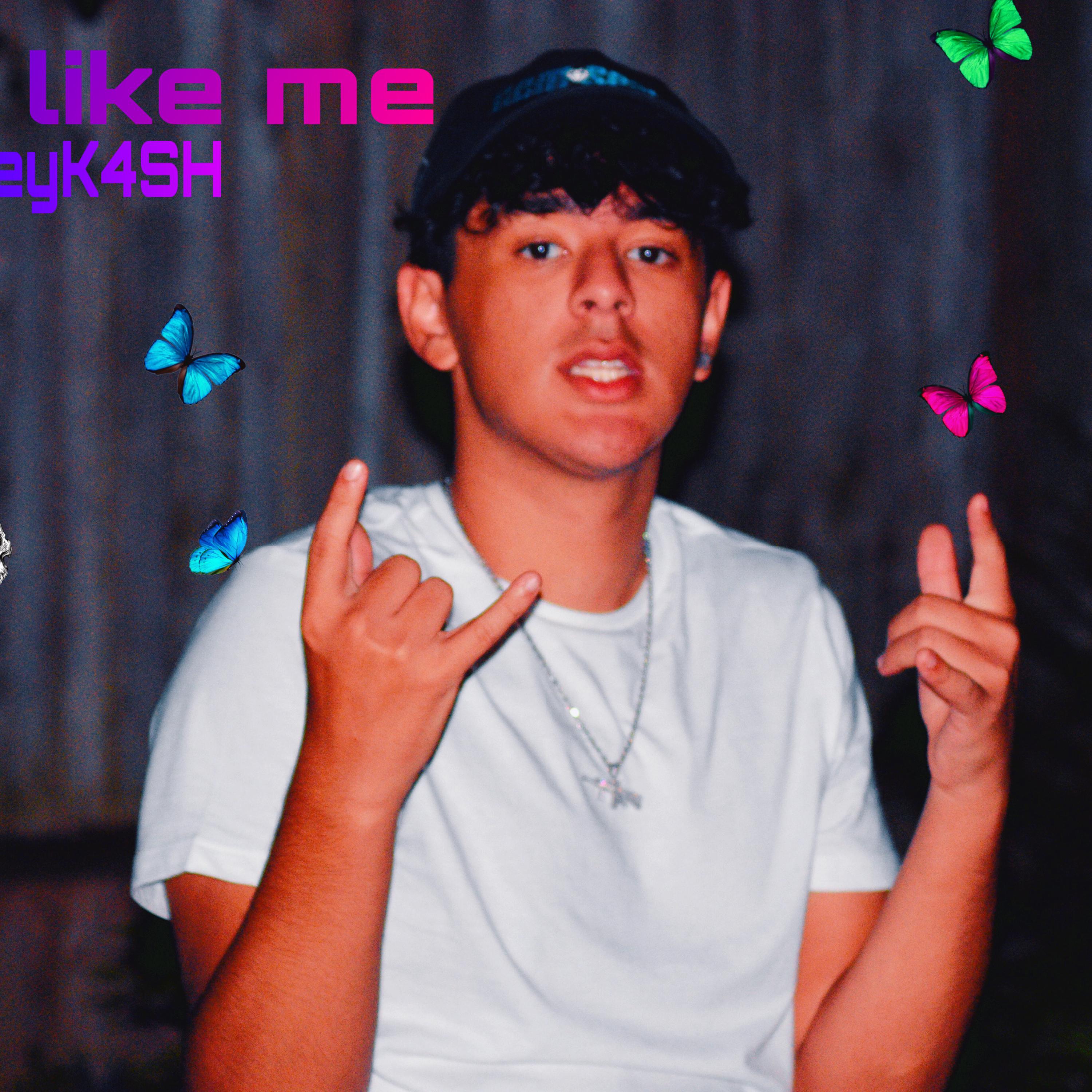 They Dont Do It Like Me artwork