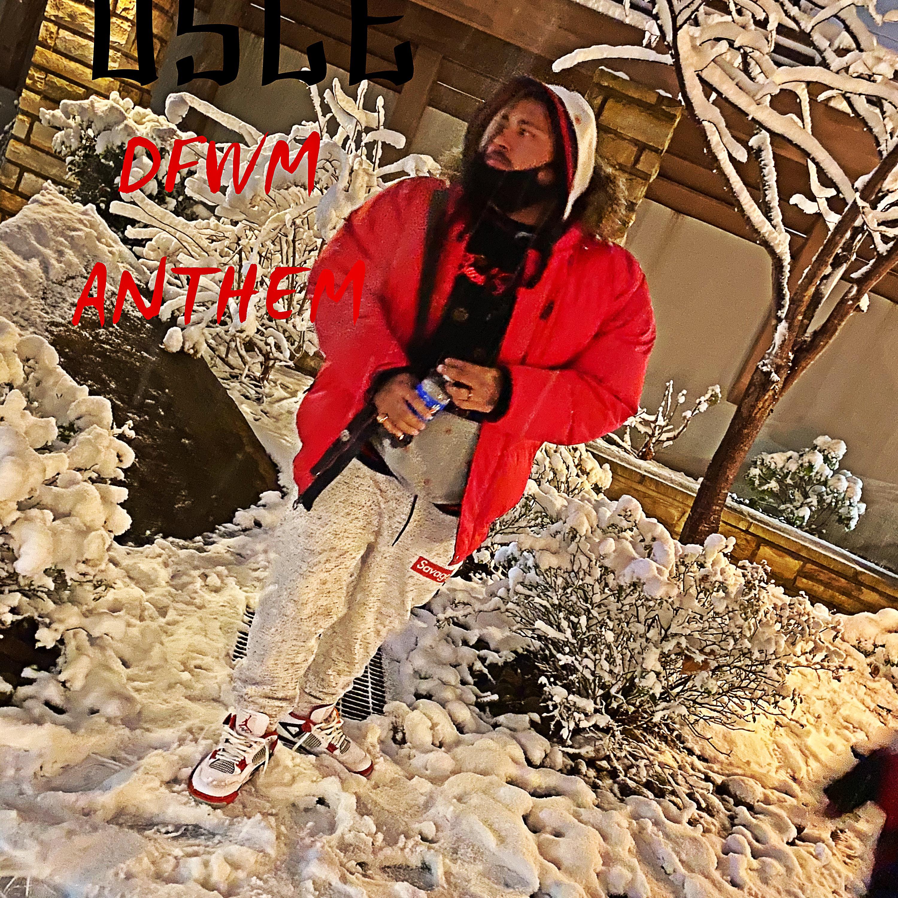DFWM ANTHEM artwork