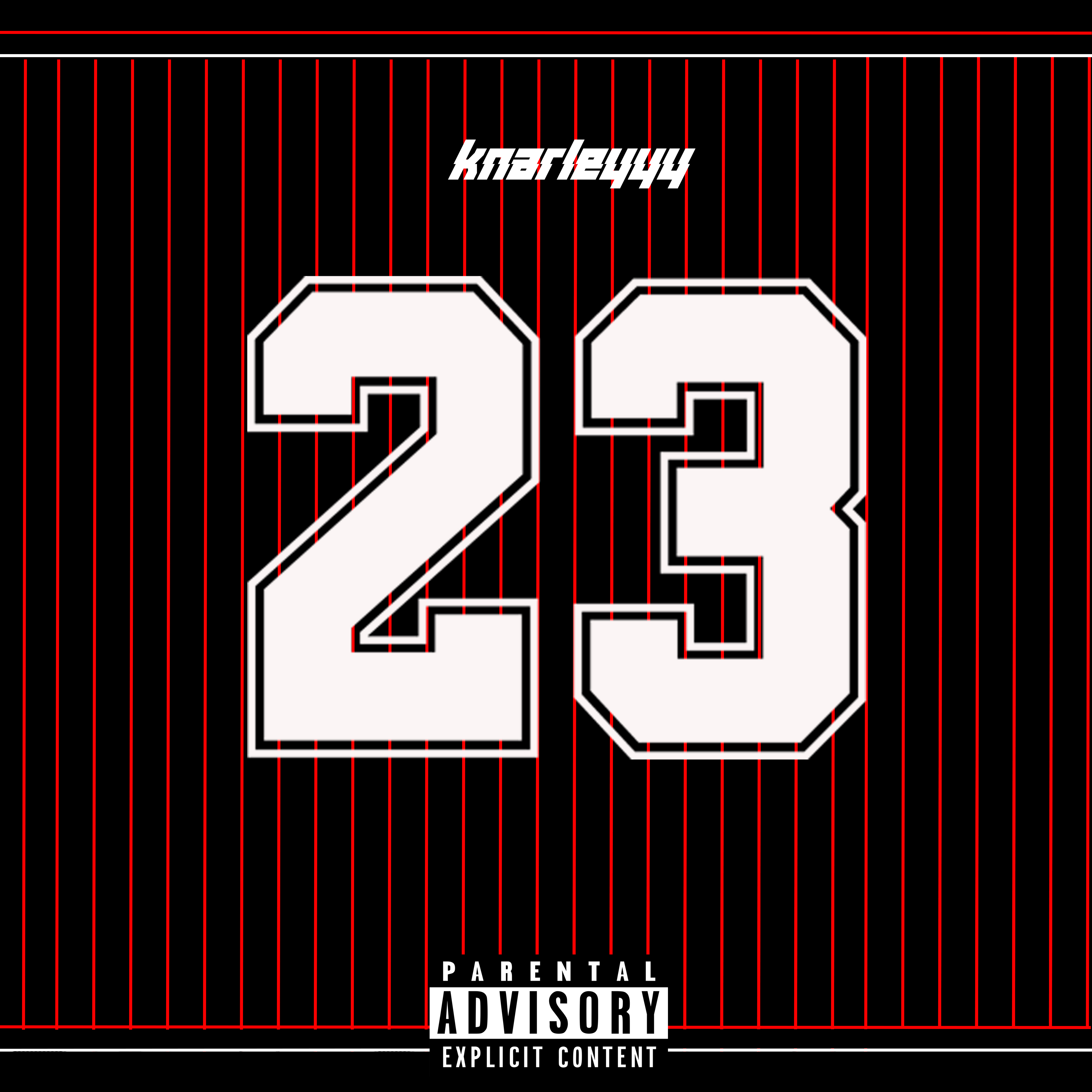 23 by Knarleyyy cover art