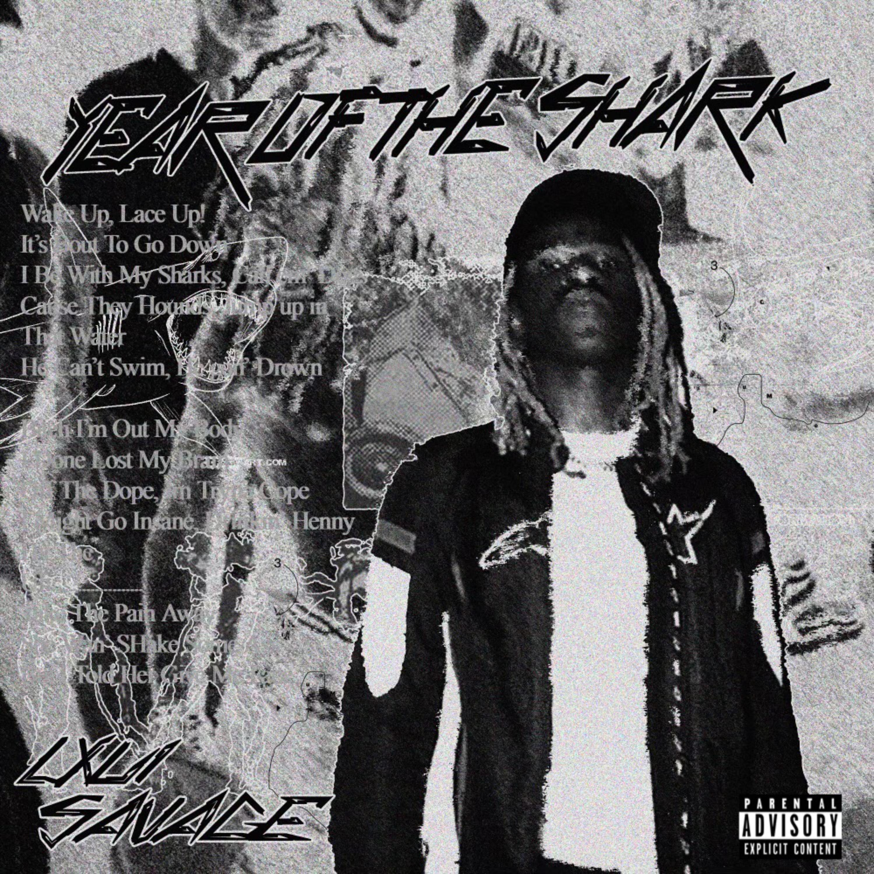 YEAR OF THE SHARK artwork