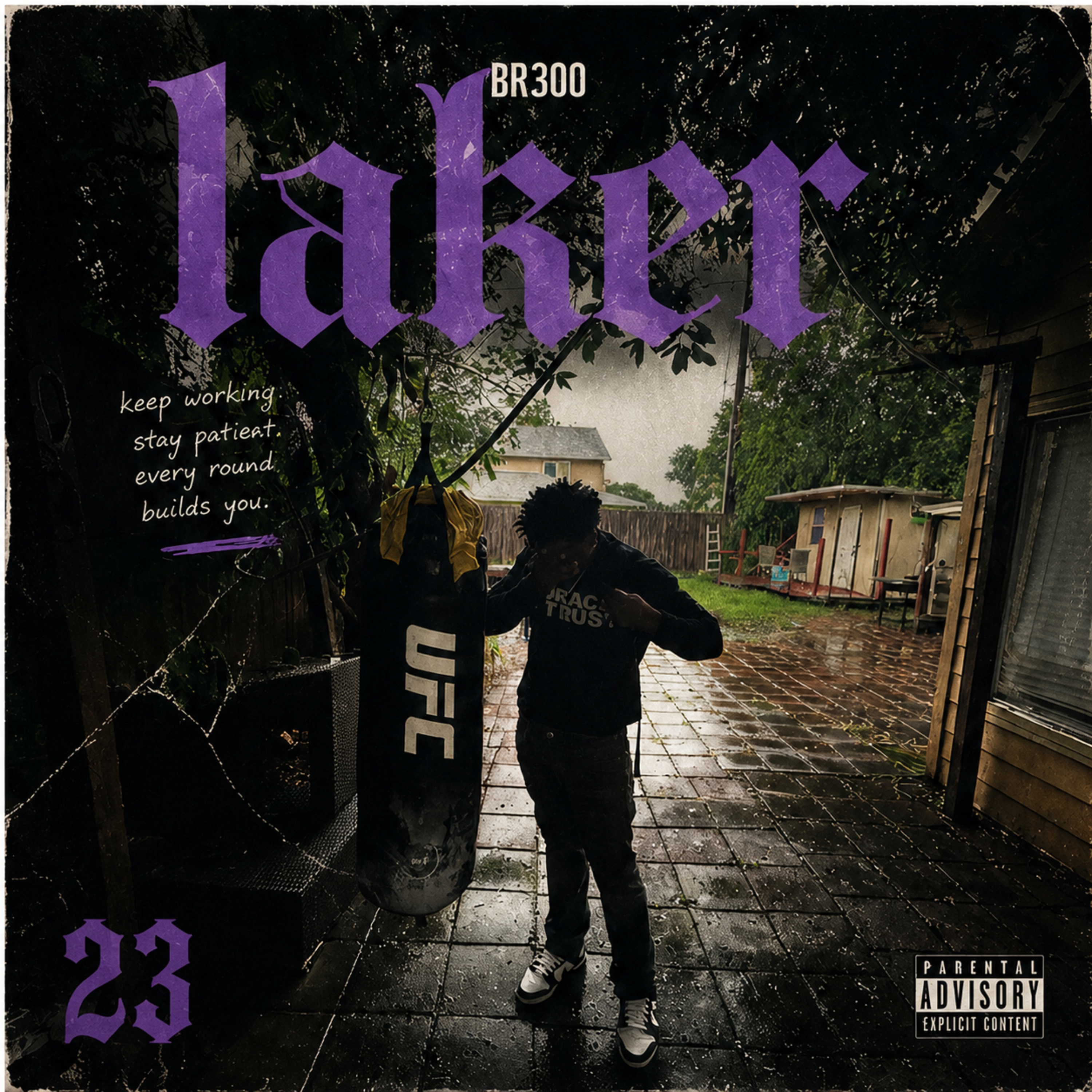 Laker by BR300 cover art