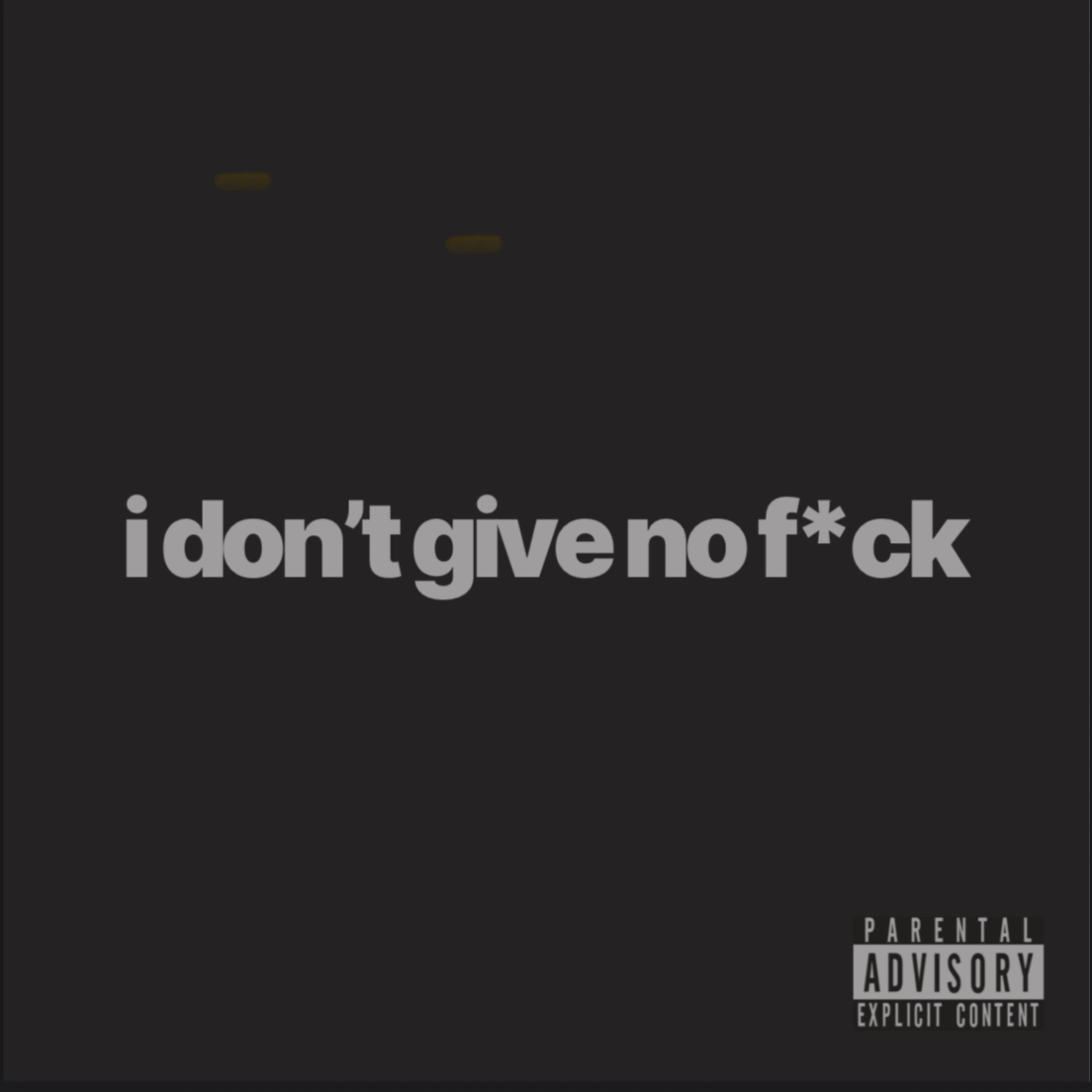 i don't give no fuck artwork