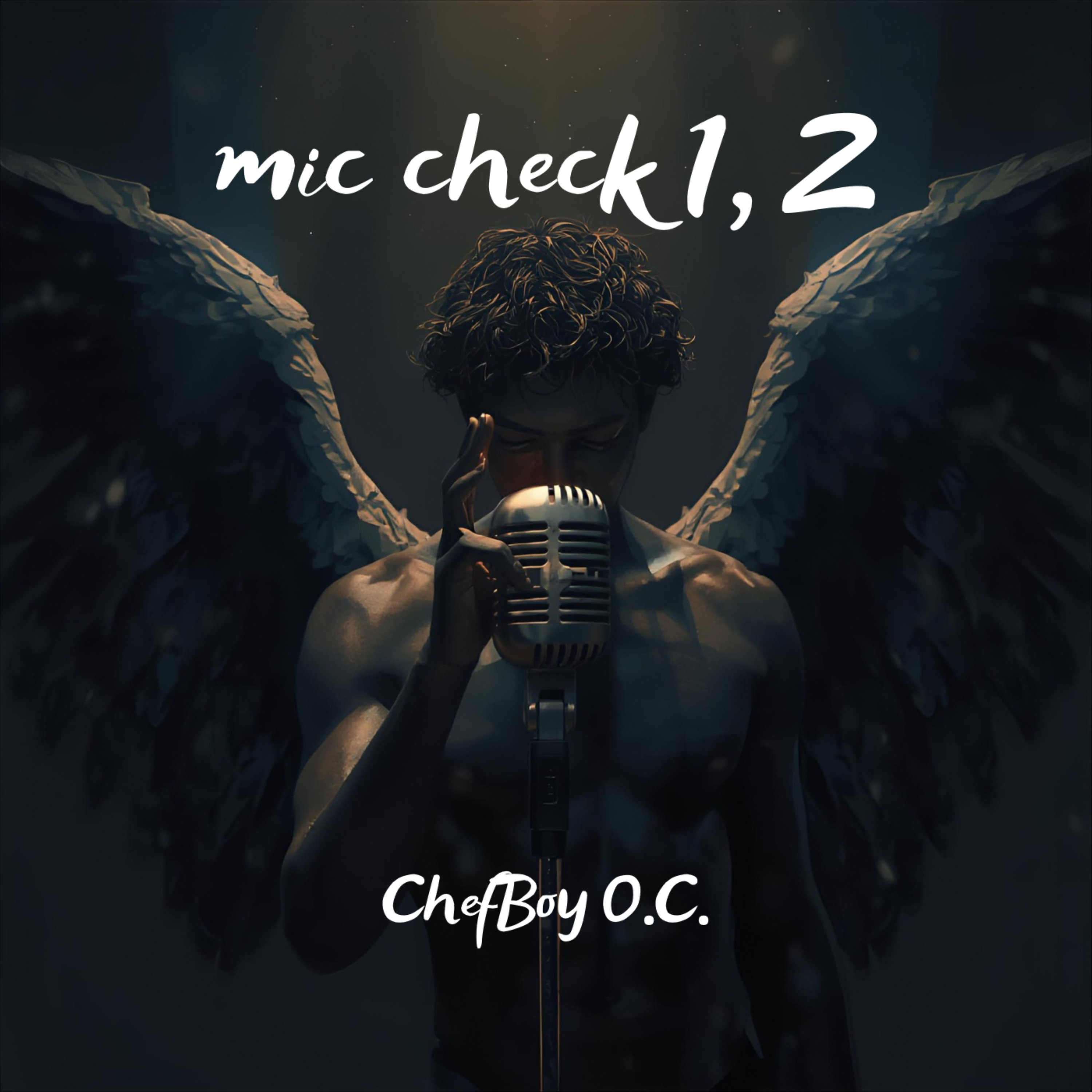 Mic Check 1 2 artwork
