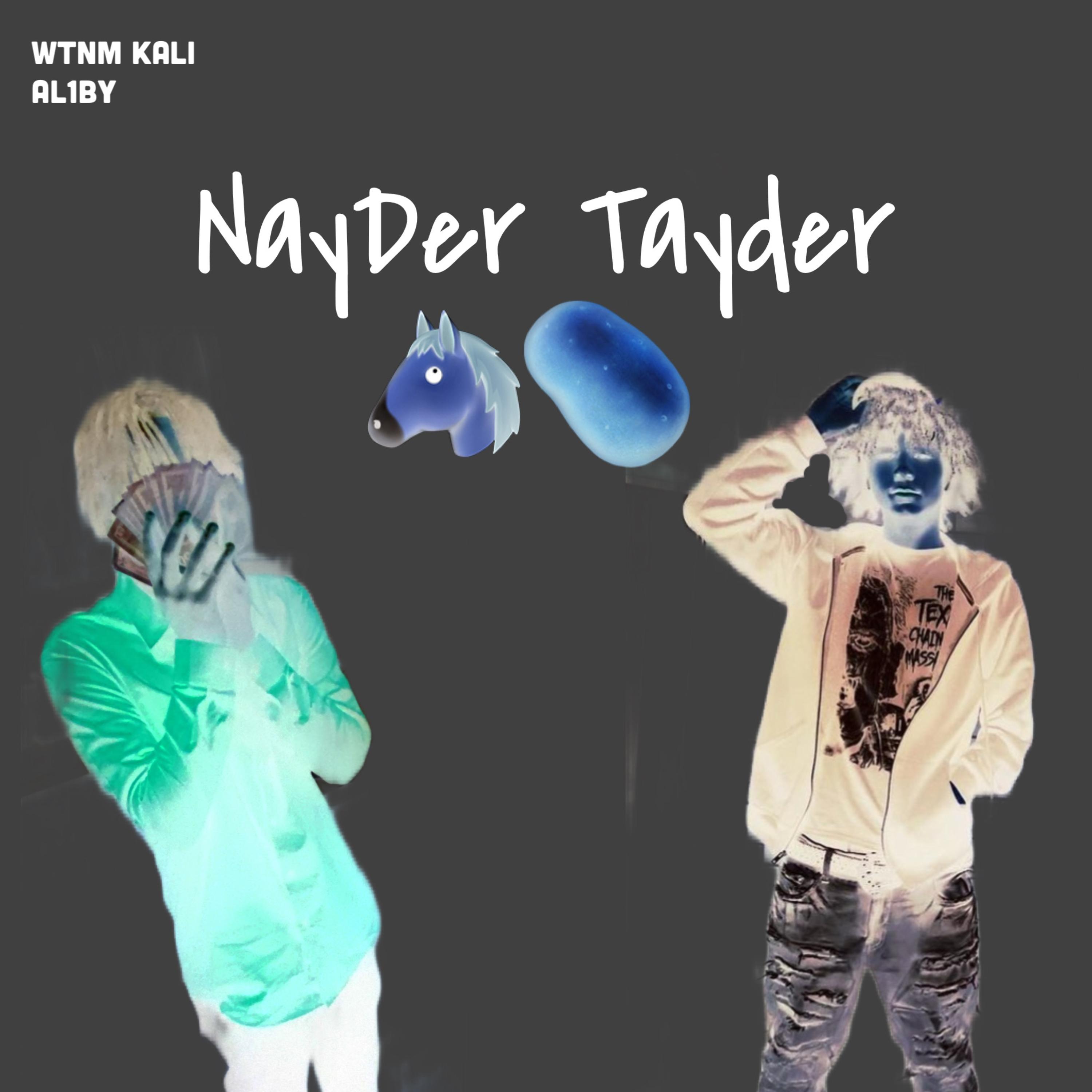 Nayder Tayder artwork