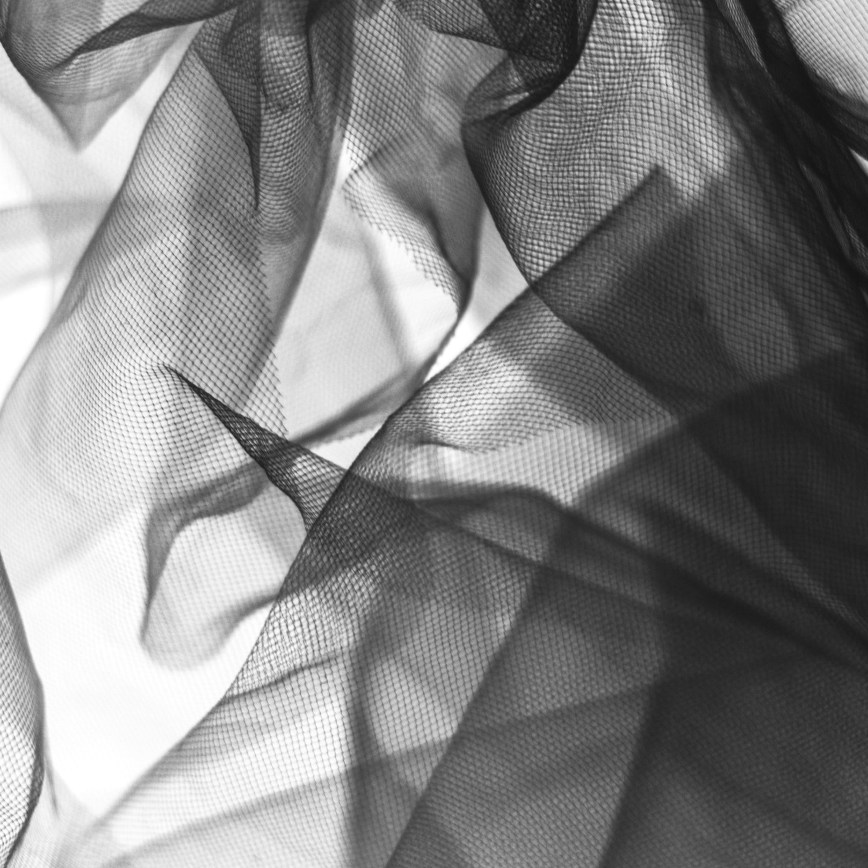 veil artwork