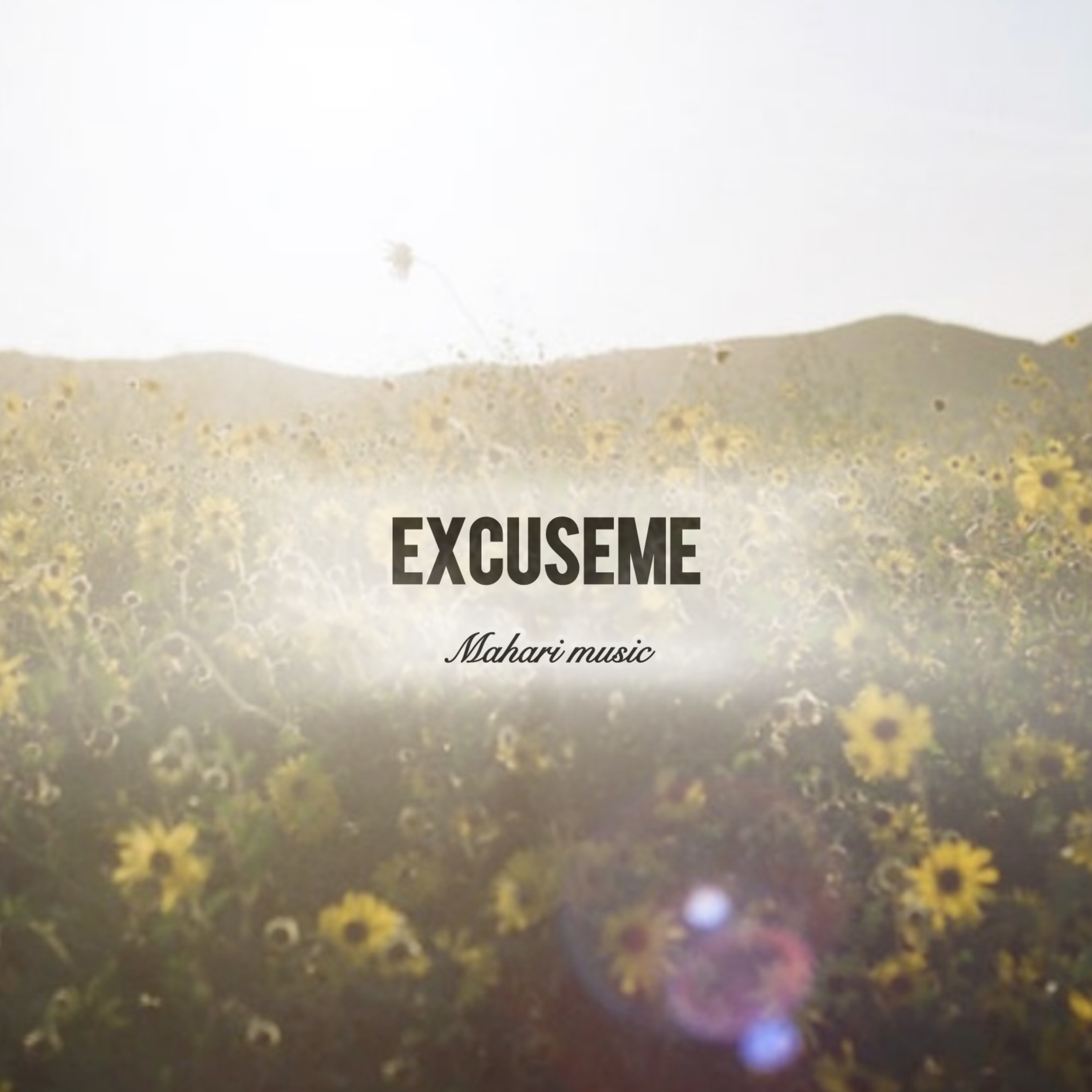 Excuse Me artwork