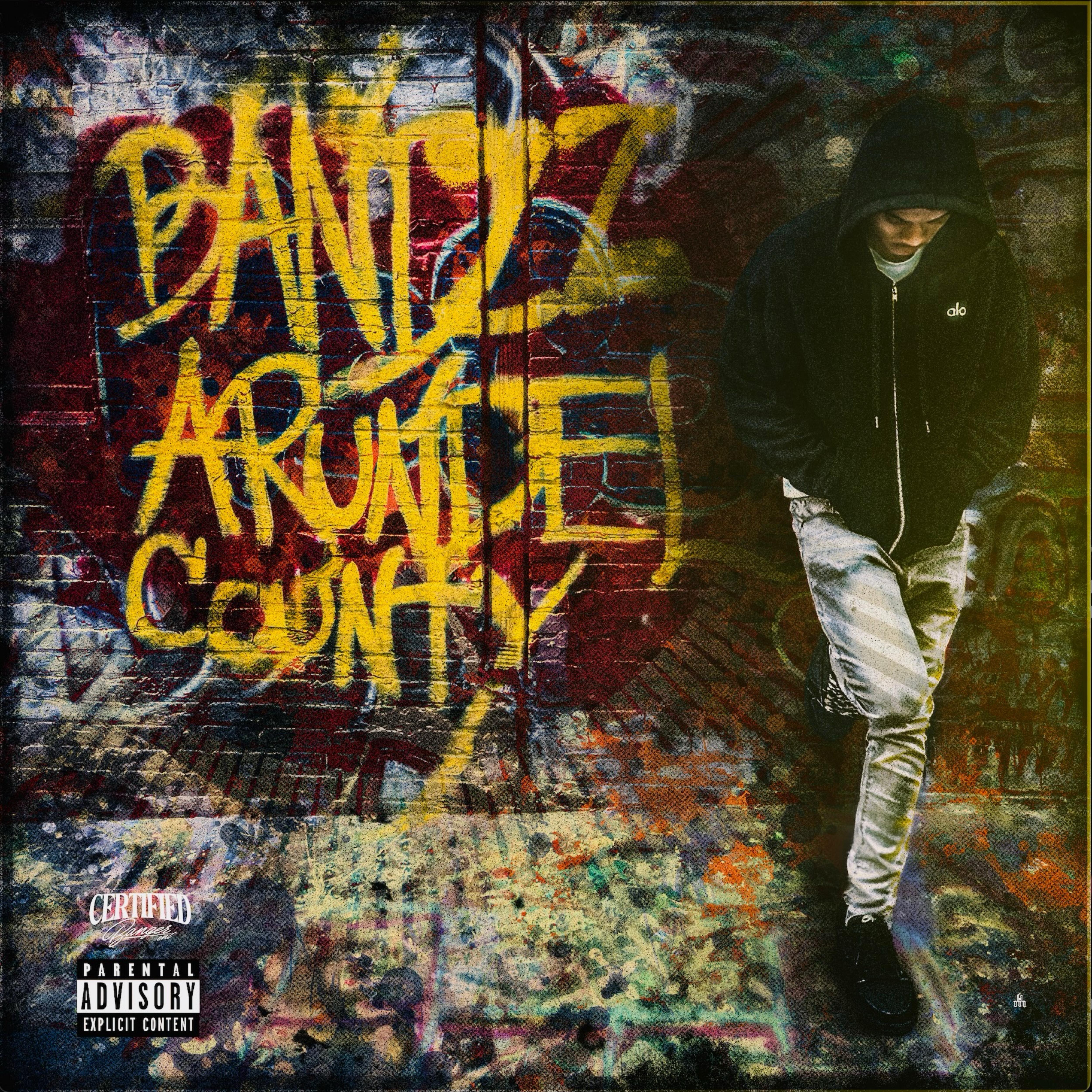 BandArundel County artwork