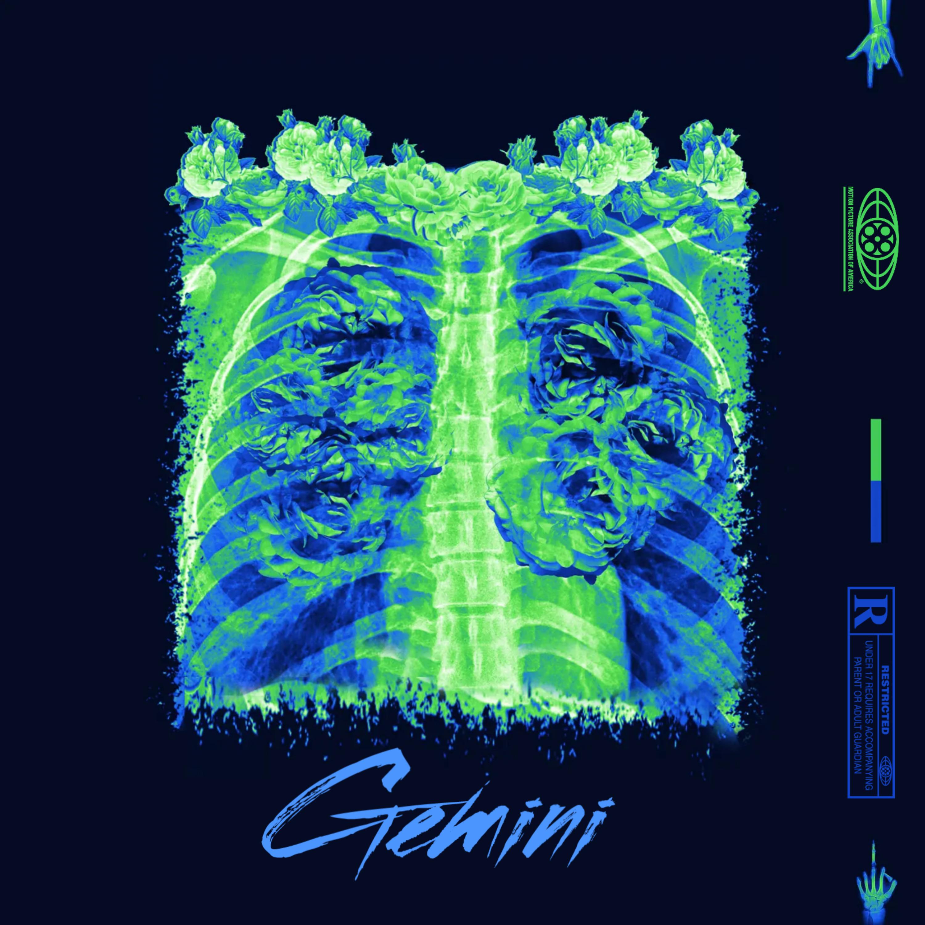 Gemini artwork