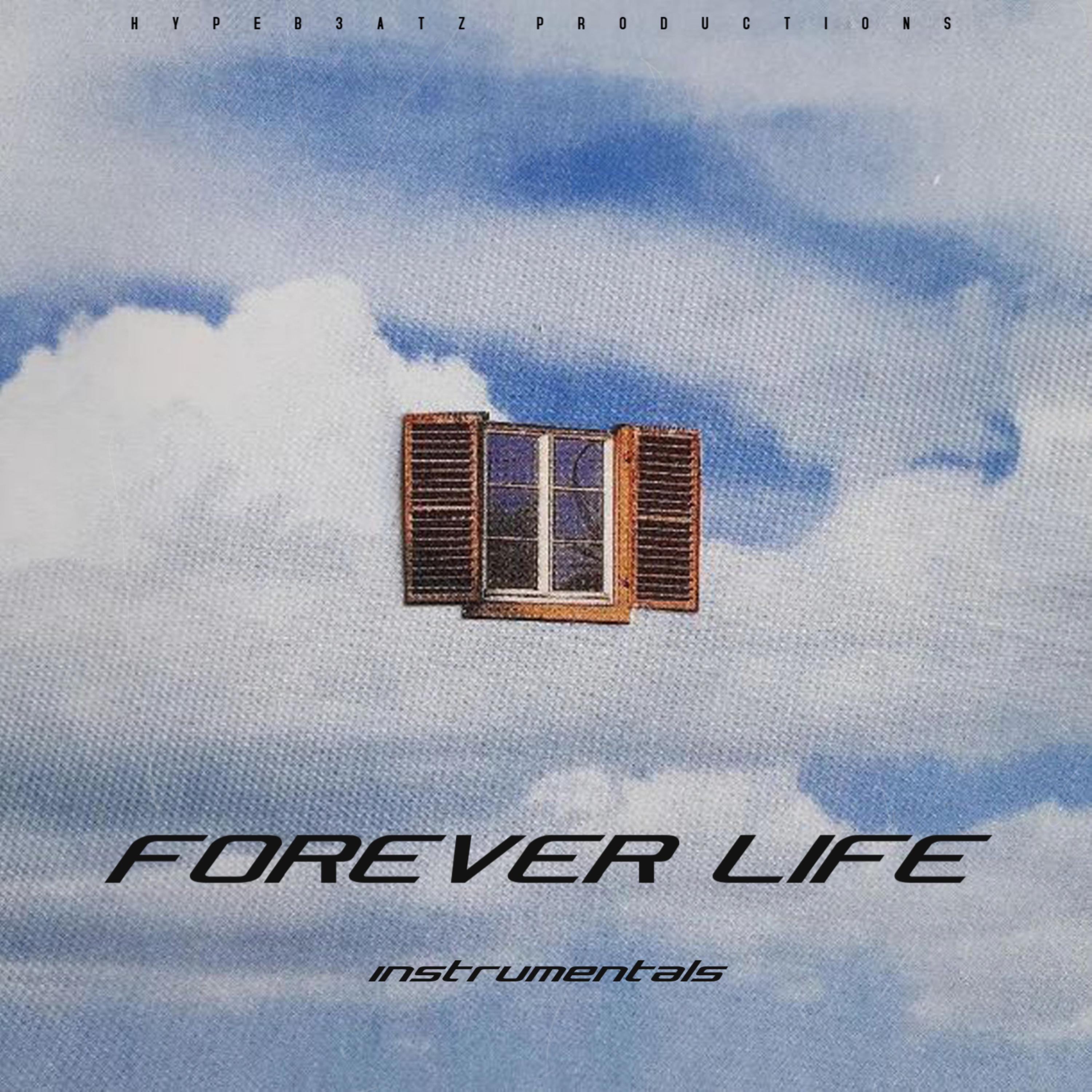 FOREVER LIFE (instrumental) artwork