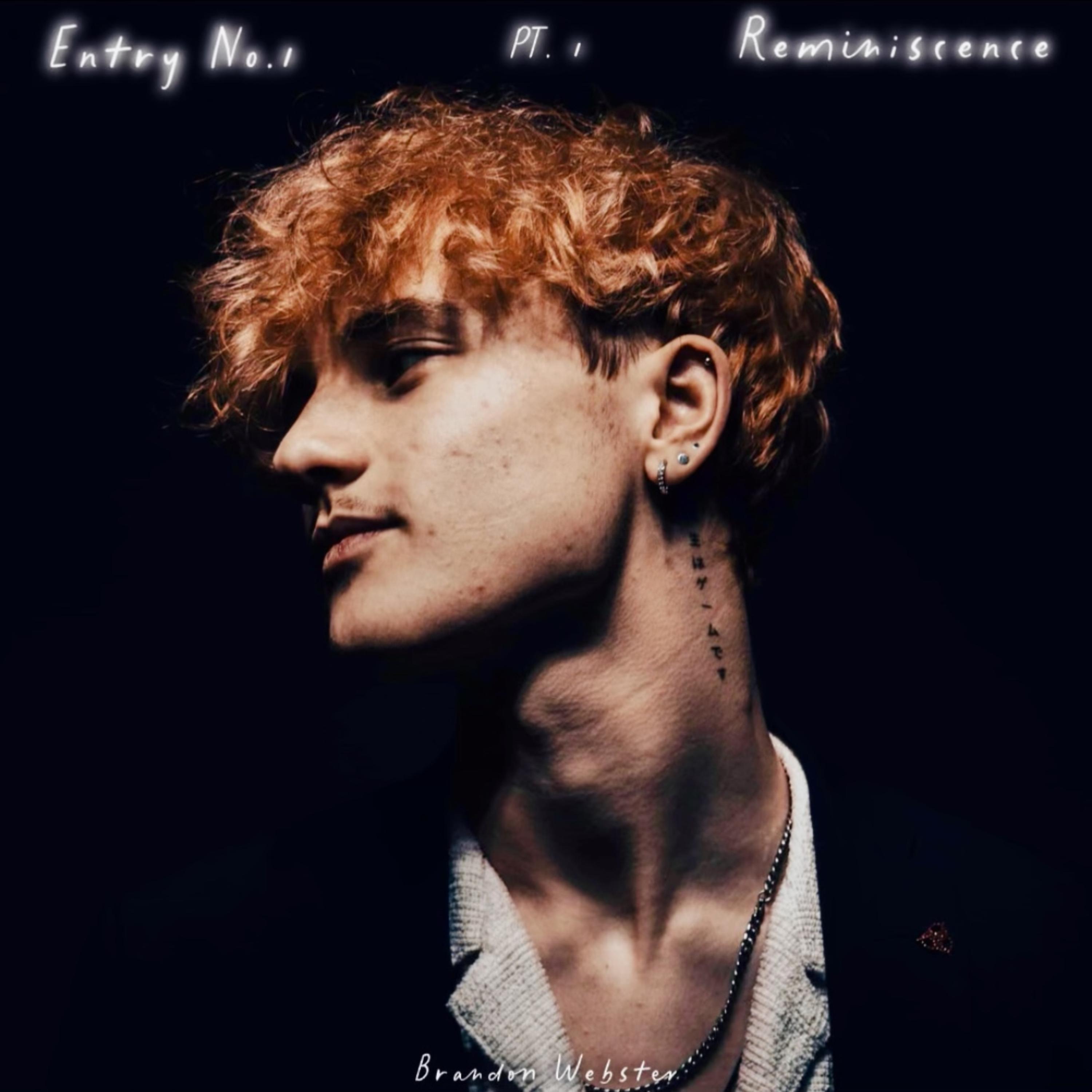 Entry No. 1: Reminiscence Pt. 1 artwork