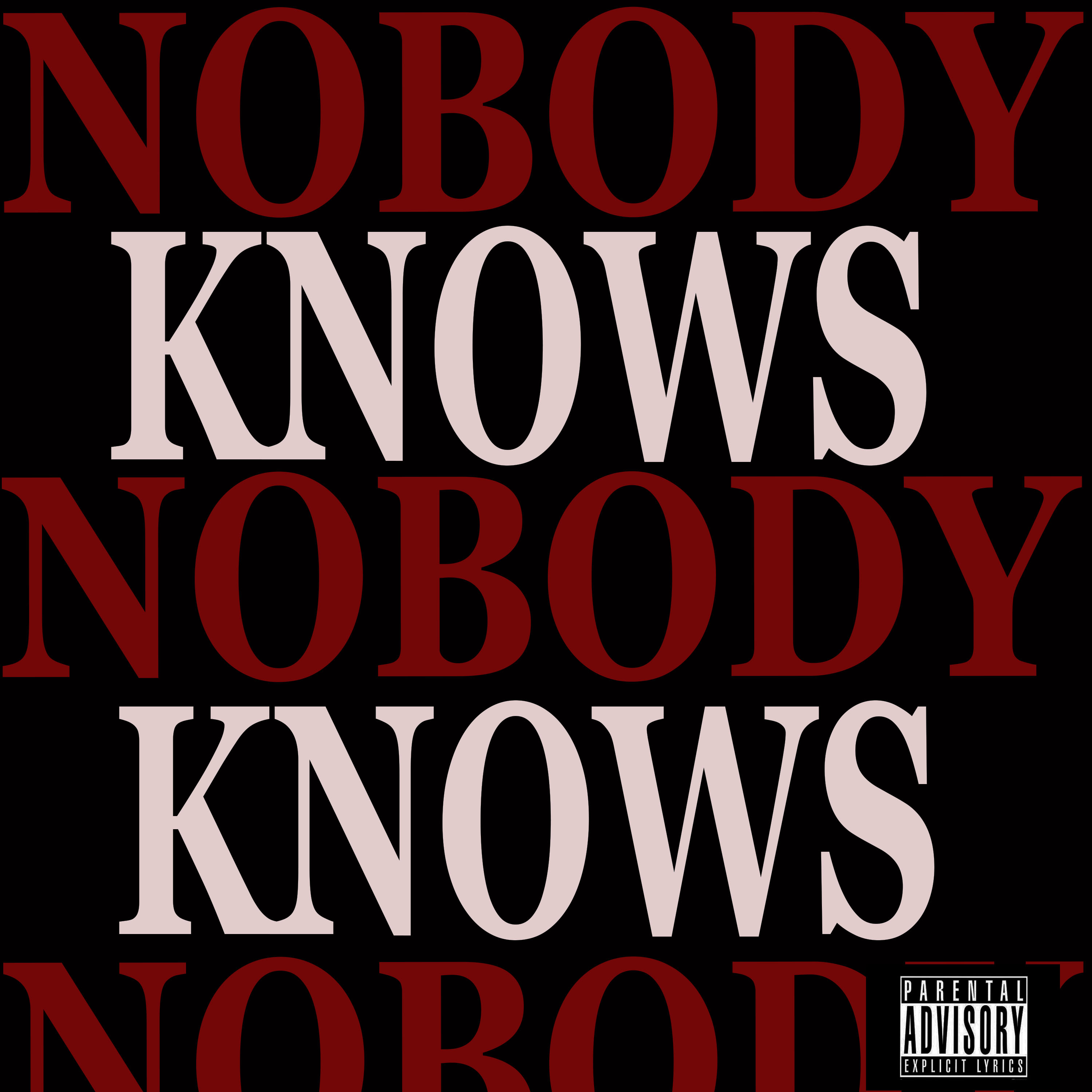Nobody Knows by NOL Niv cover art