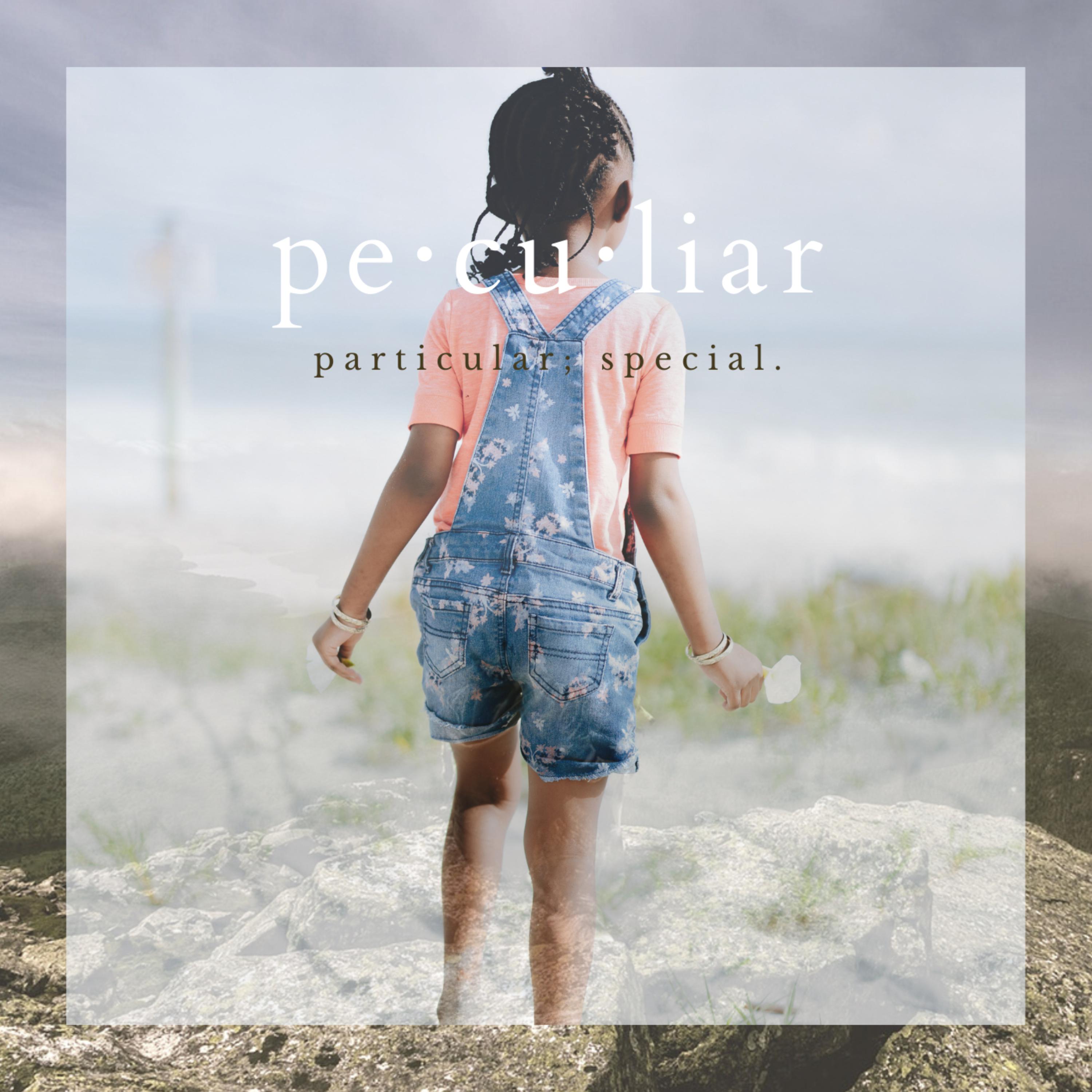 pe·cu·liar artwork