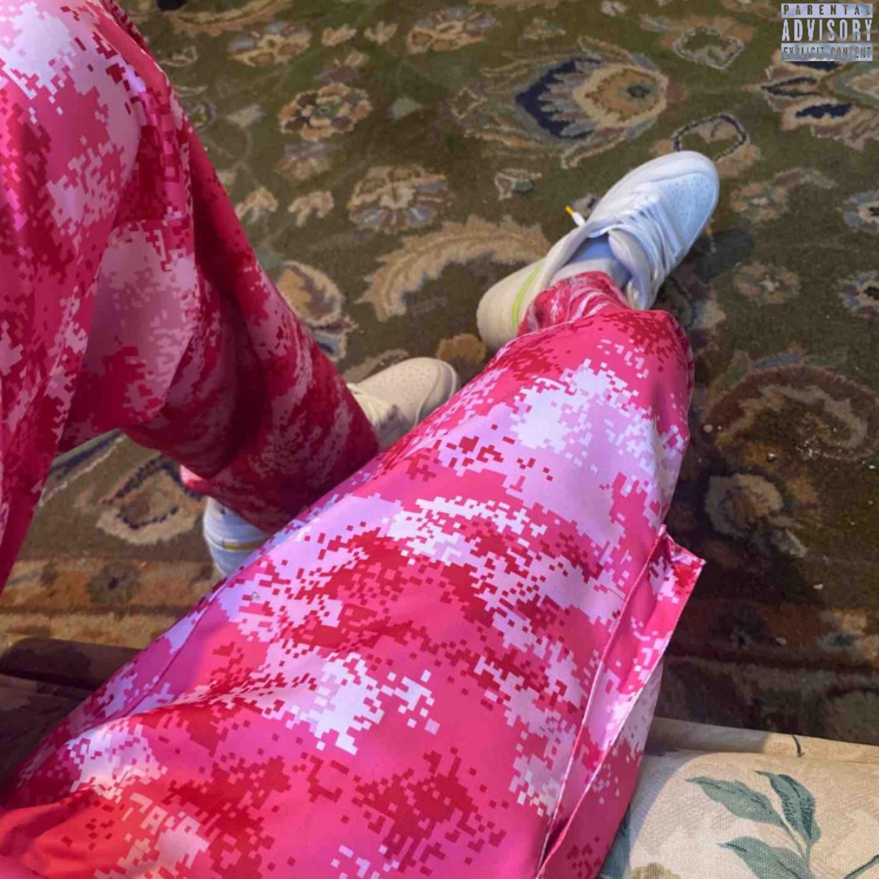 Plastic Feelings artwork