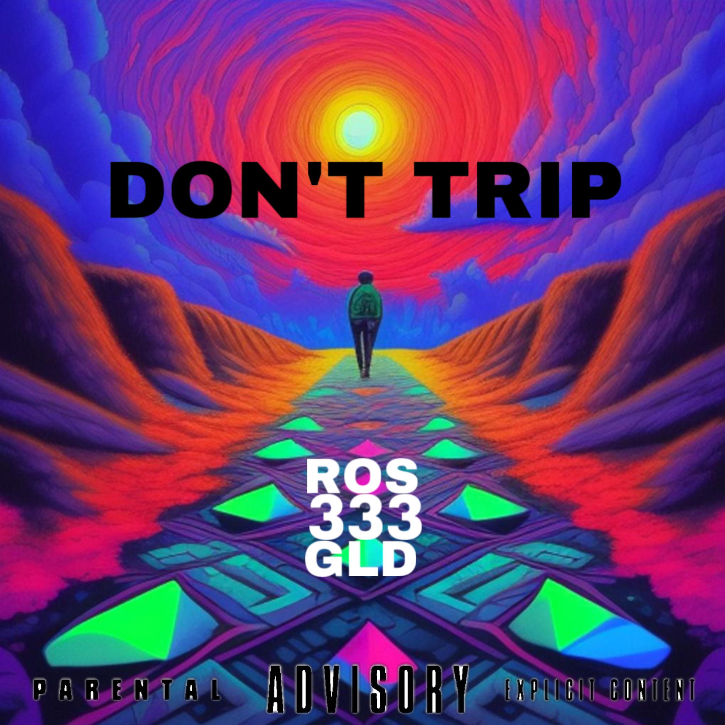 Don't Trip artwork