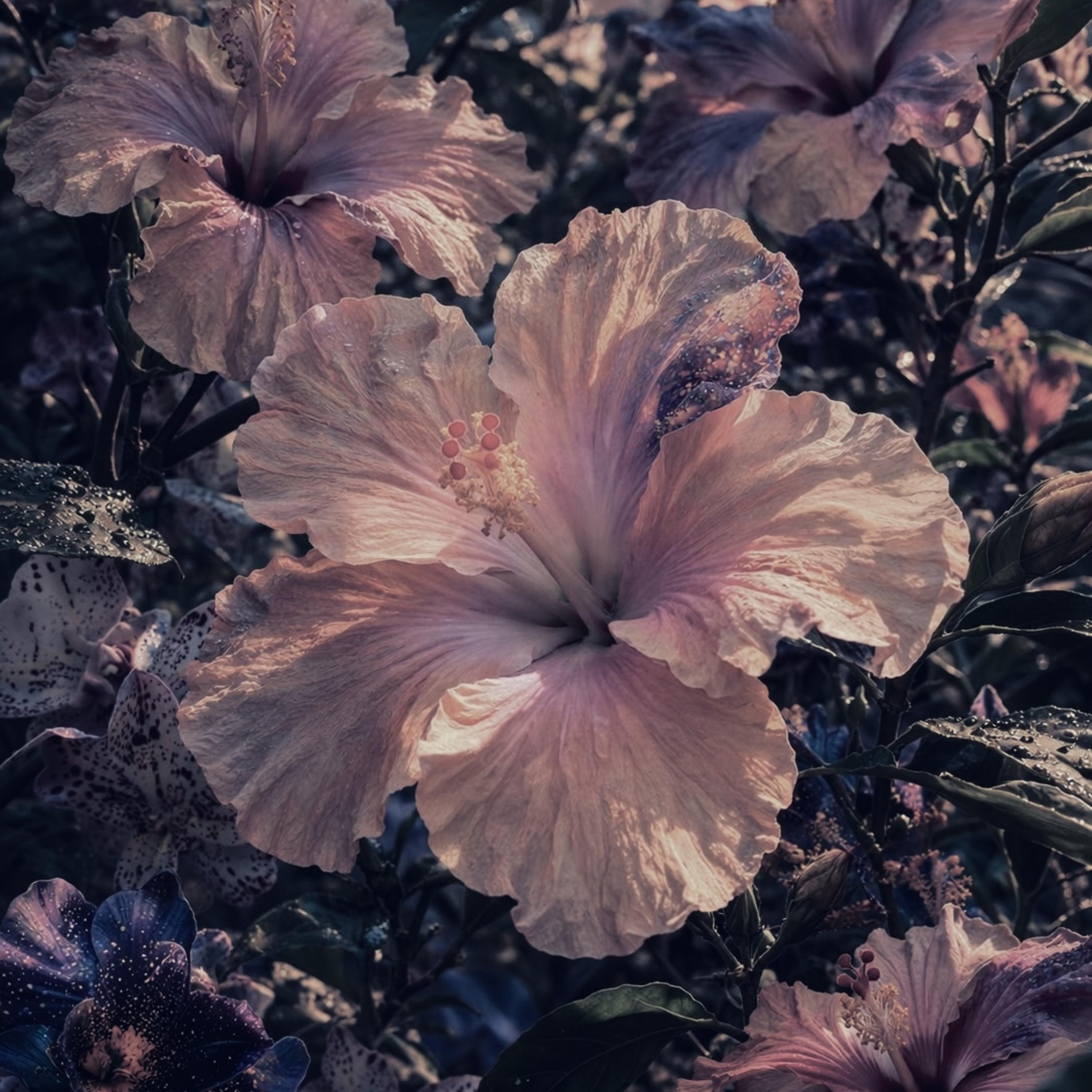 988. by Vxmpyredreams cover art