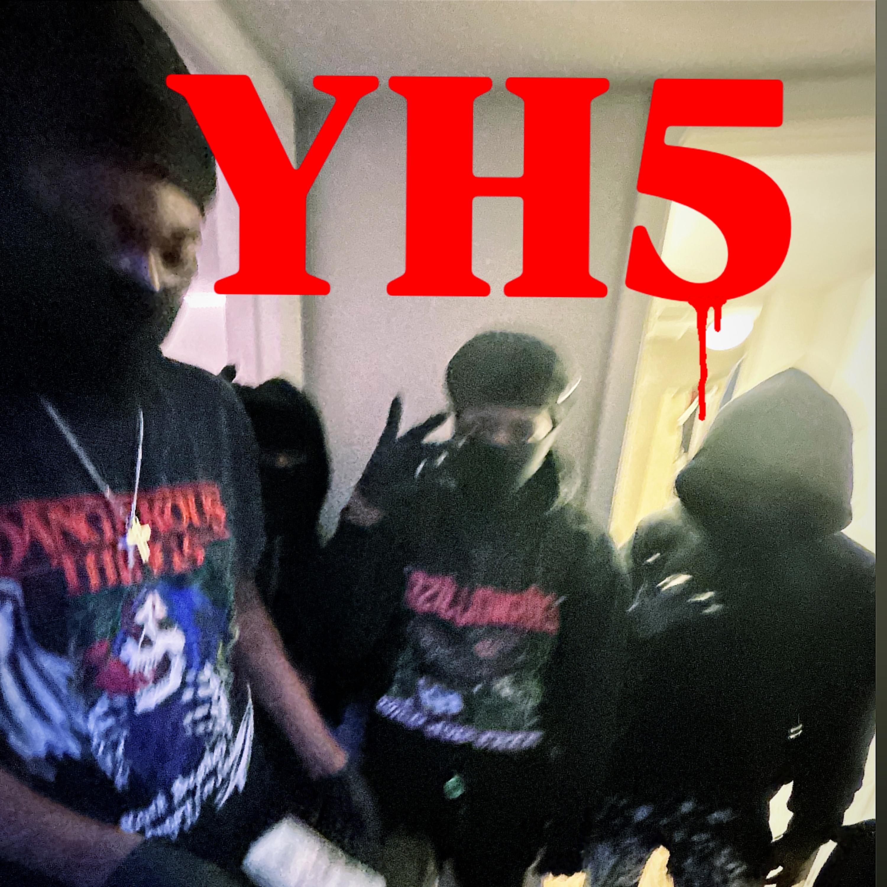 YH5 artwork