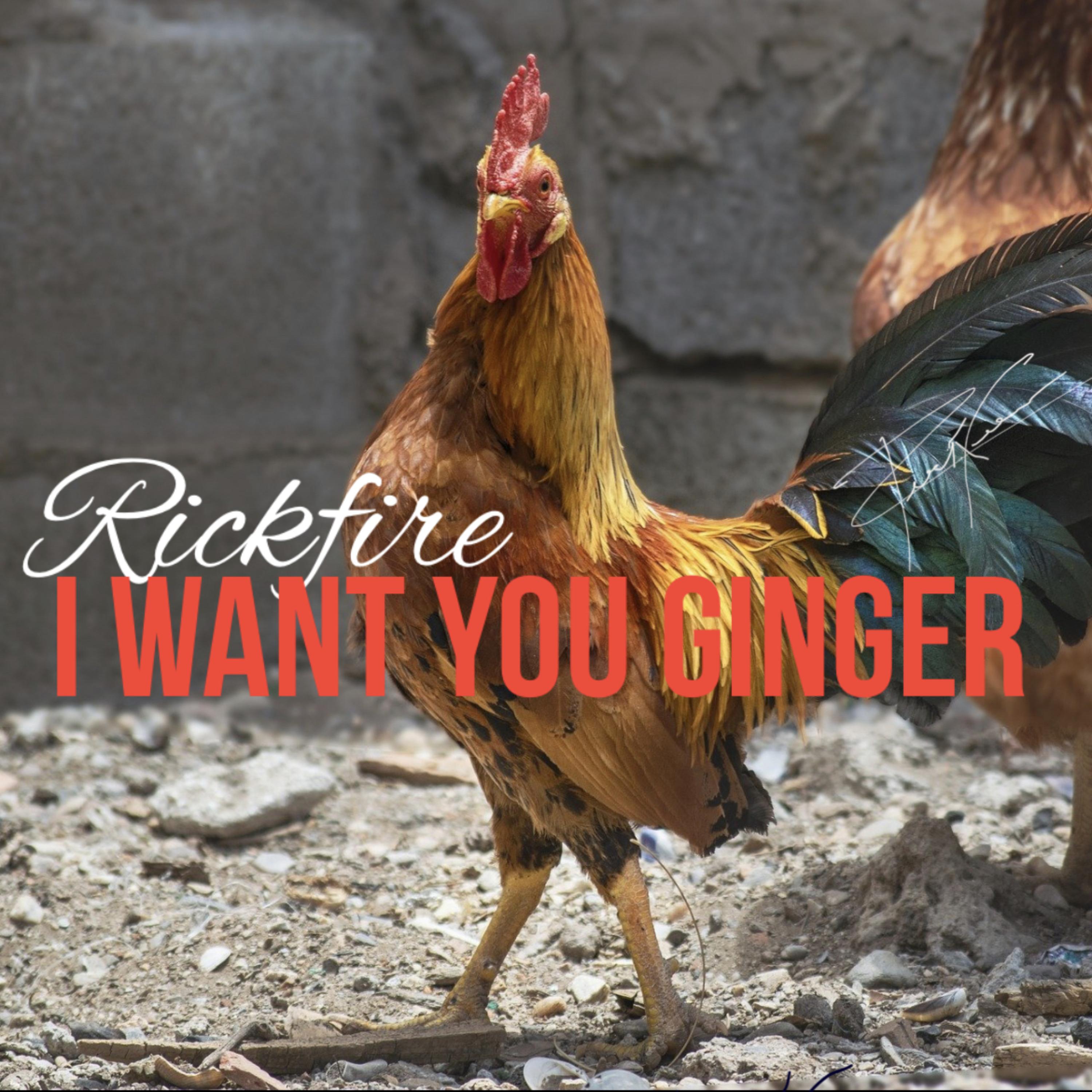 I Want Your Ginger artwork