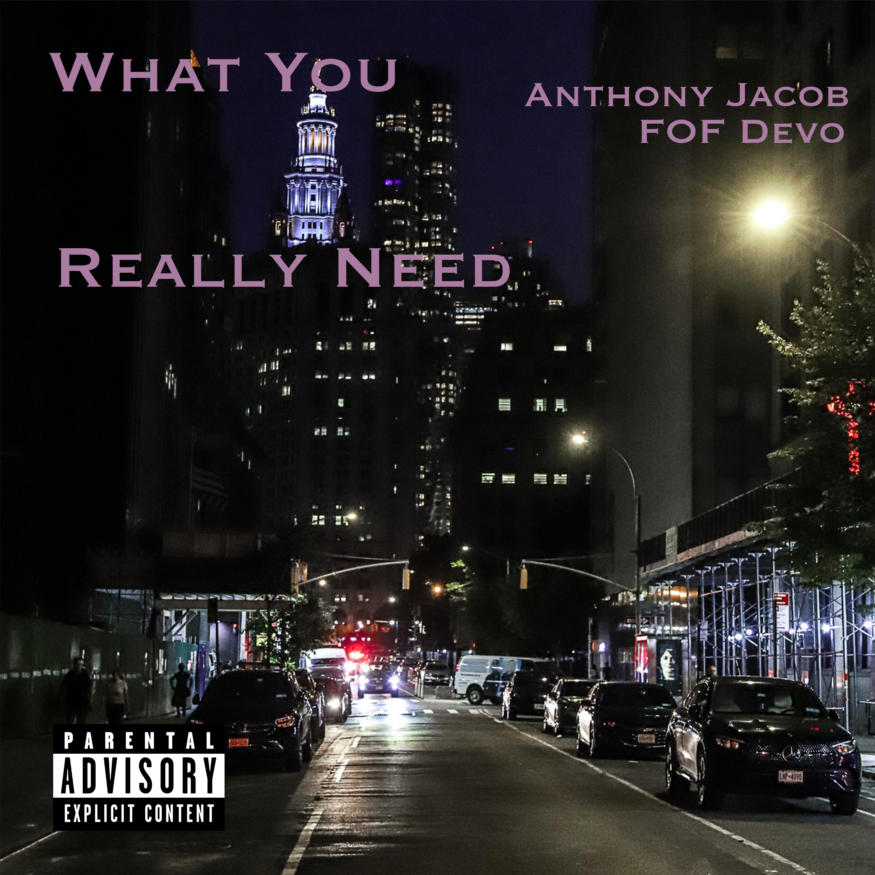 What You Really Need artwork