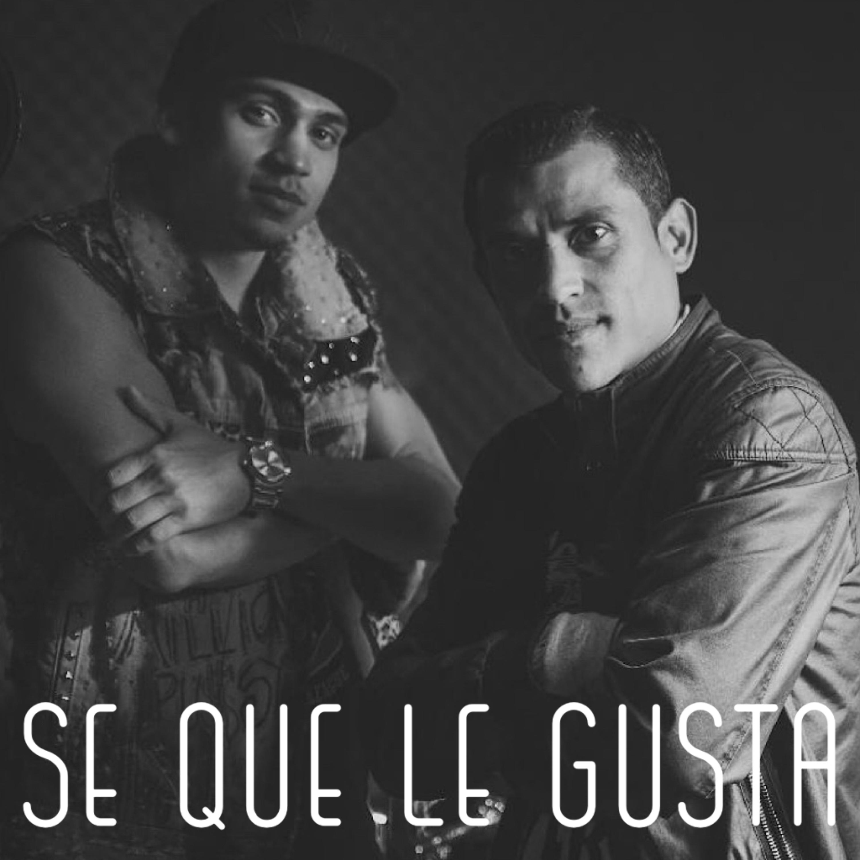 Se que le gusta artwork