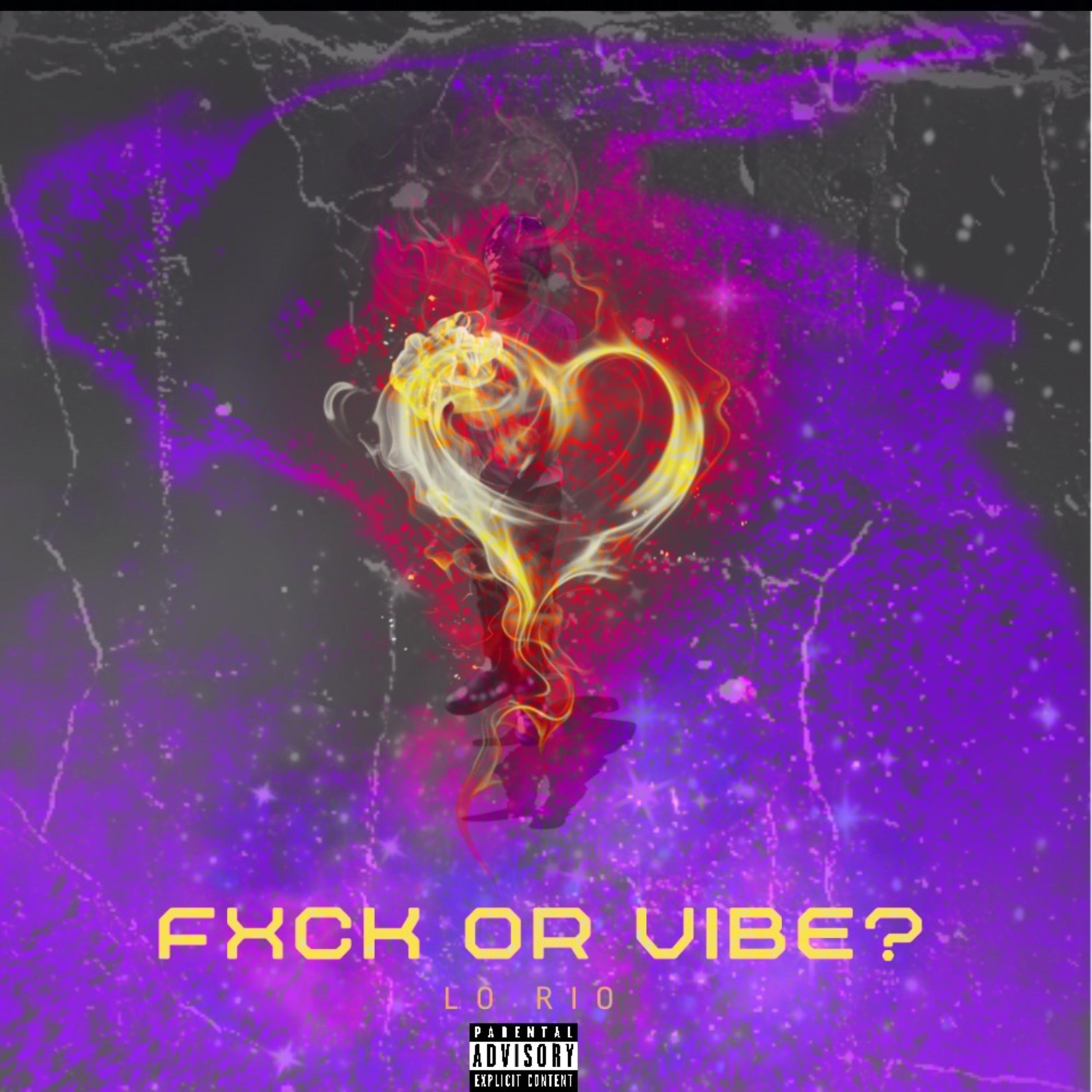 Fxck or Vibe? artwork